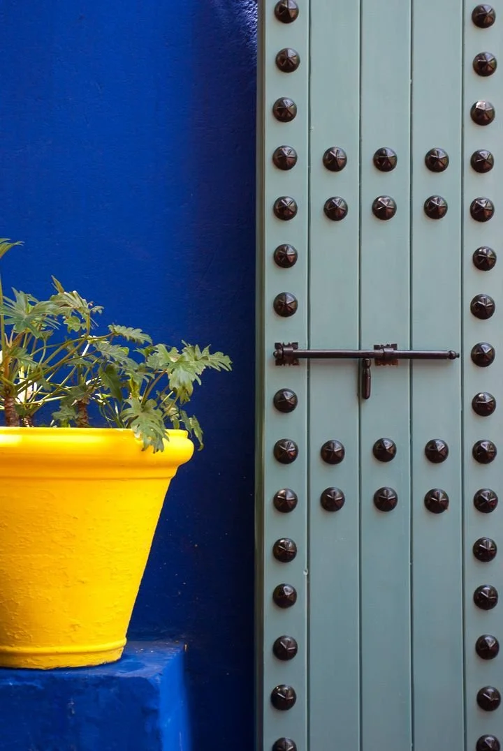Knall gelber Blumentopf vor blauer wand und grüner Tür beschlagen mit schwarzem Metall