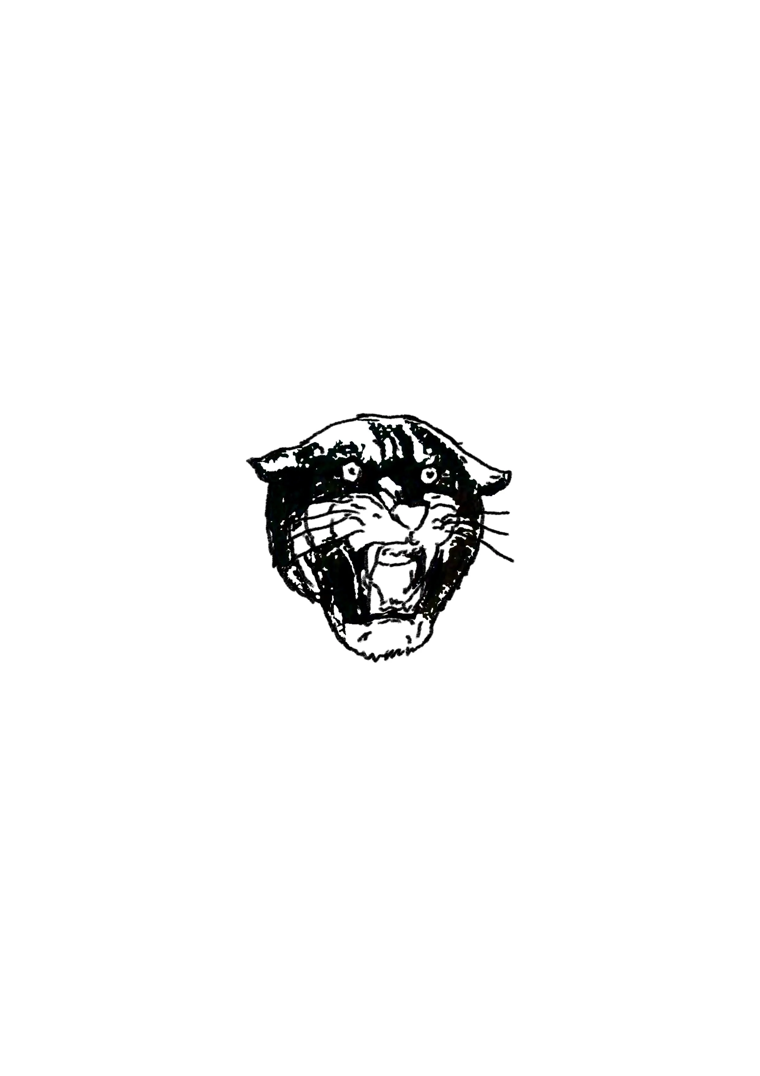 Panther