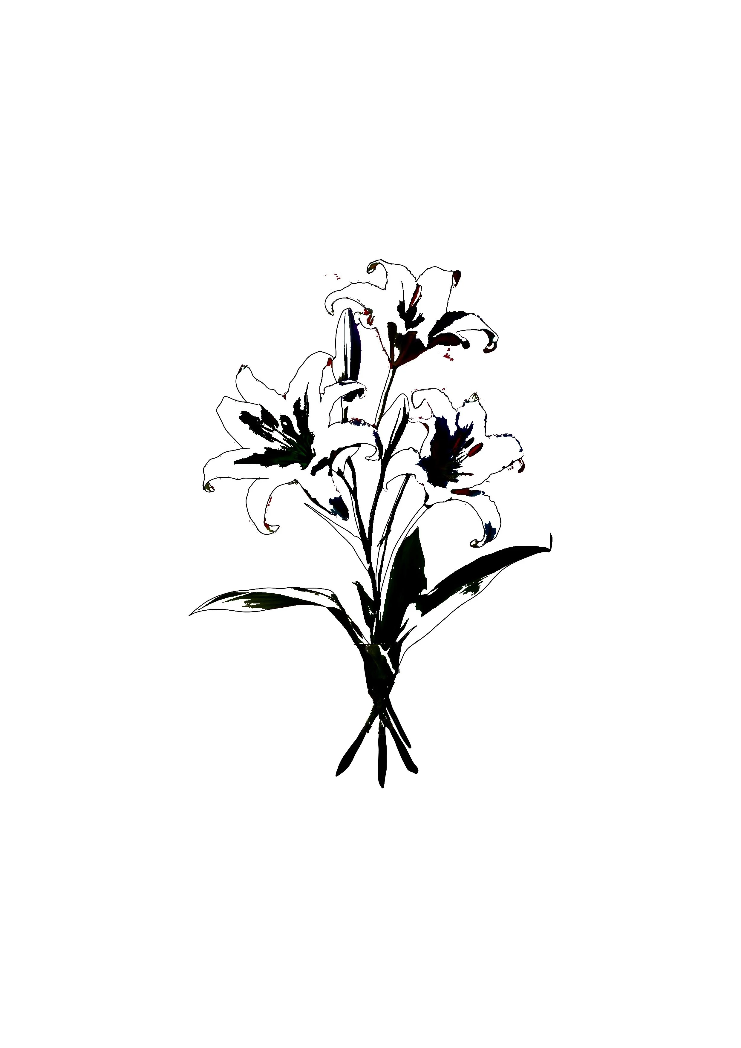 Untitled_Artwork 158.jpg