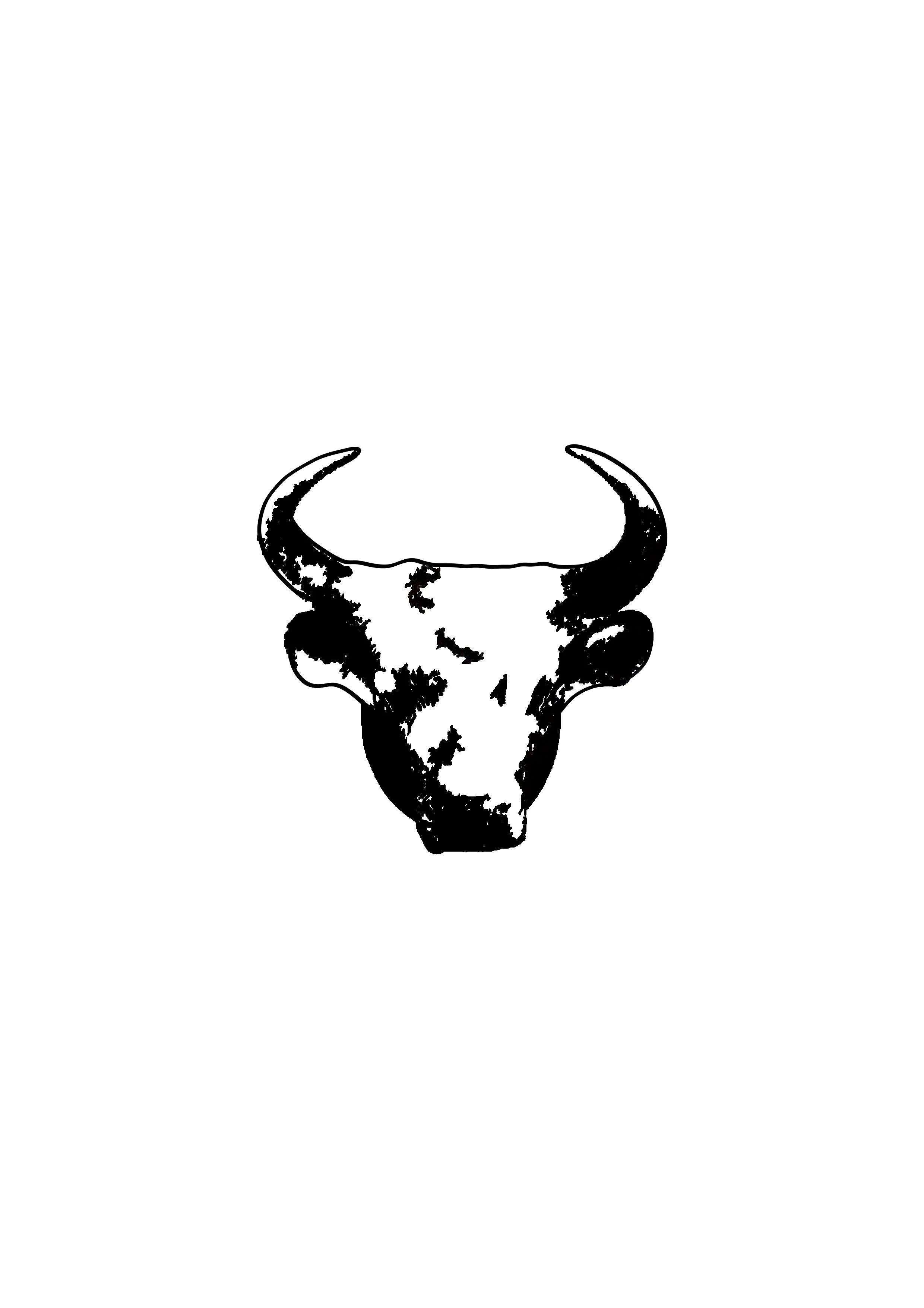 Bull Face