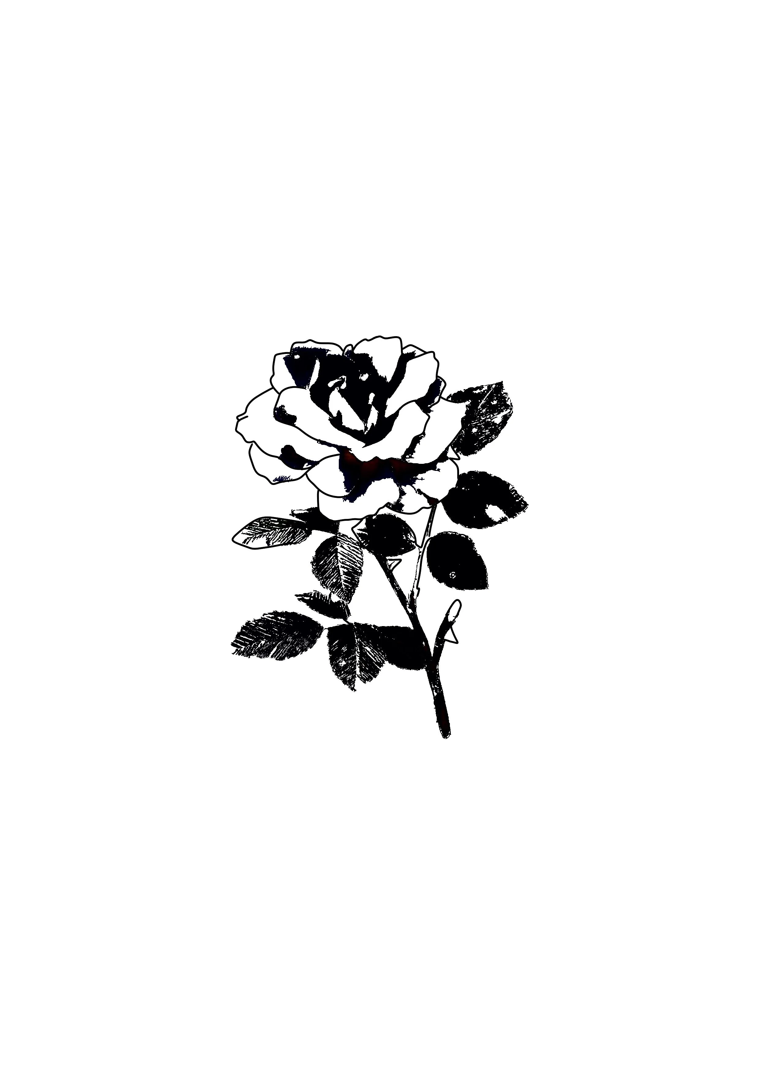Untitled_Artwork 129.jpg