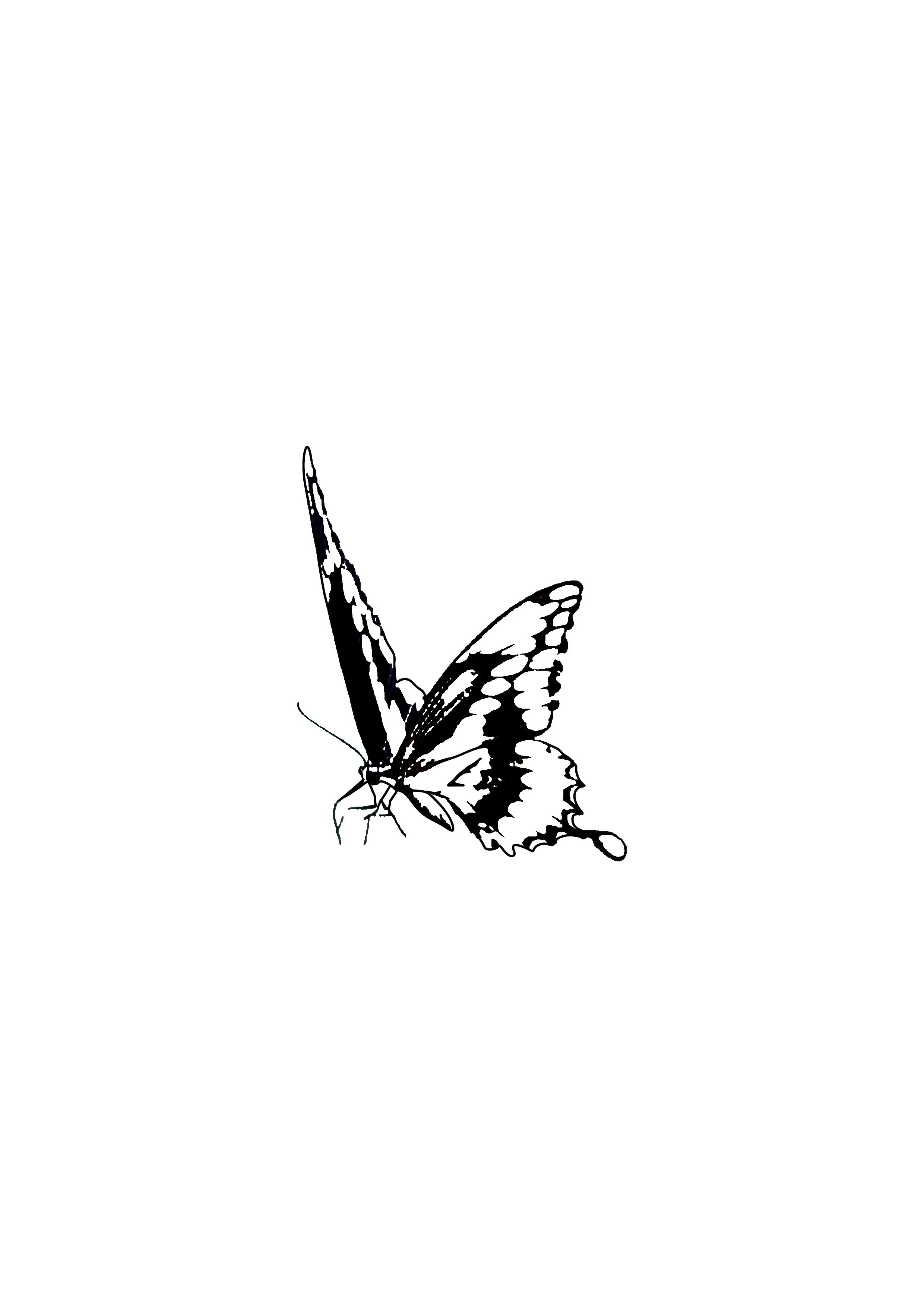 Untitled_Artwork 138.jpg