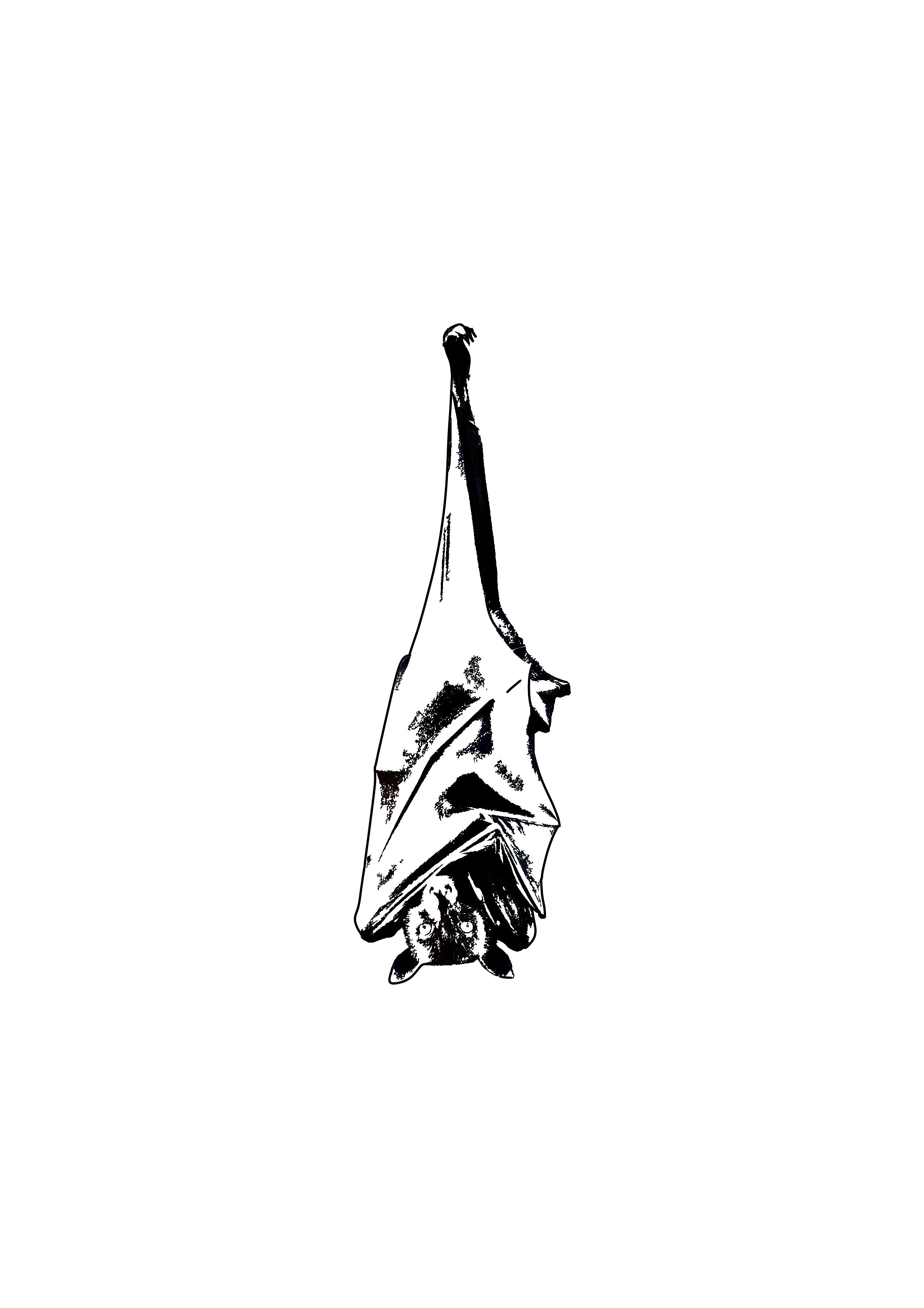 Untitled_Artwork 139.jpg