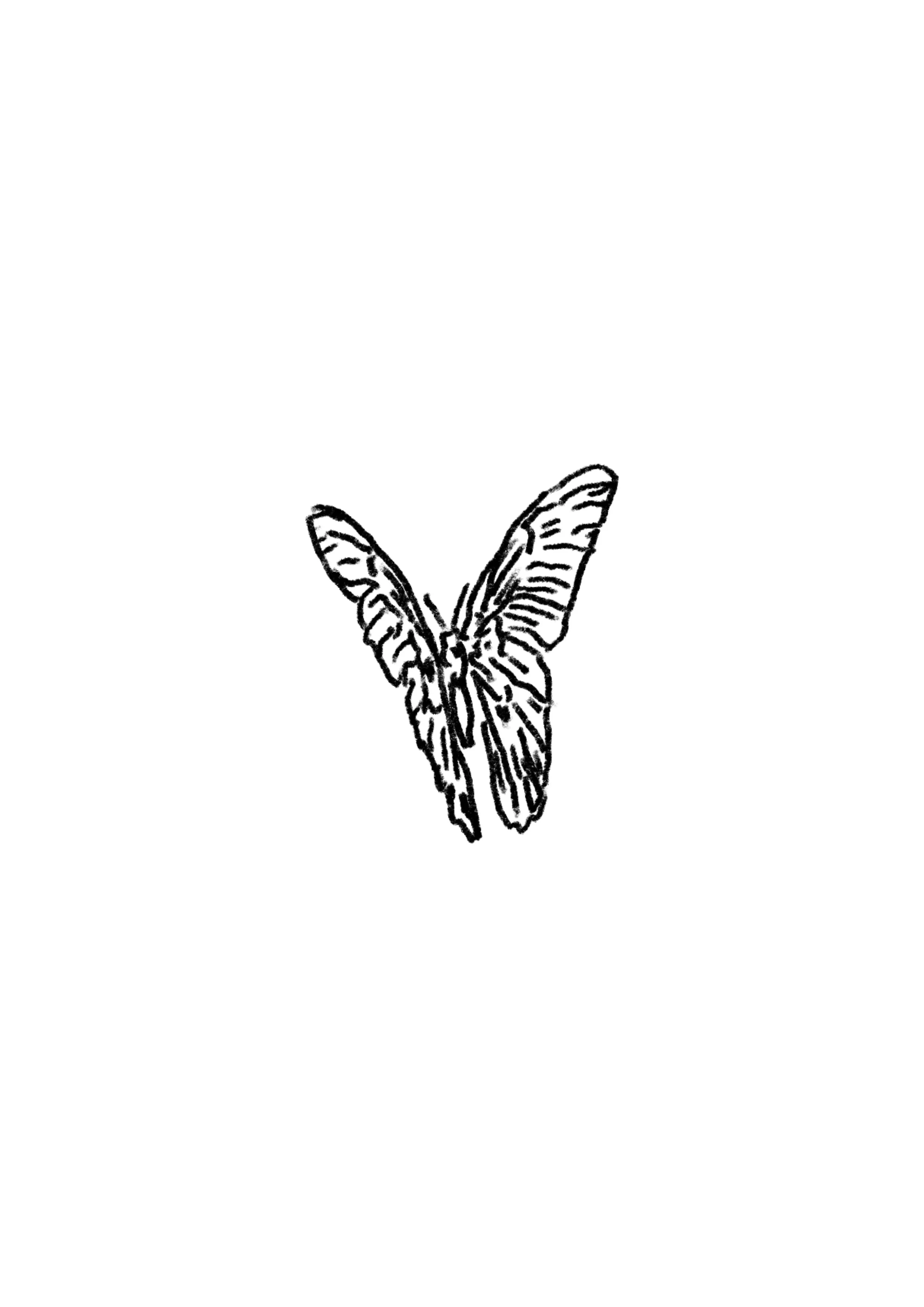 Untitled_Artwork 146.jpg