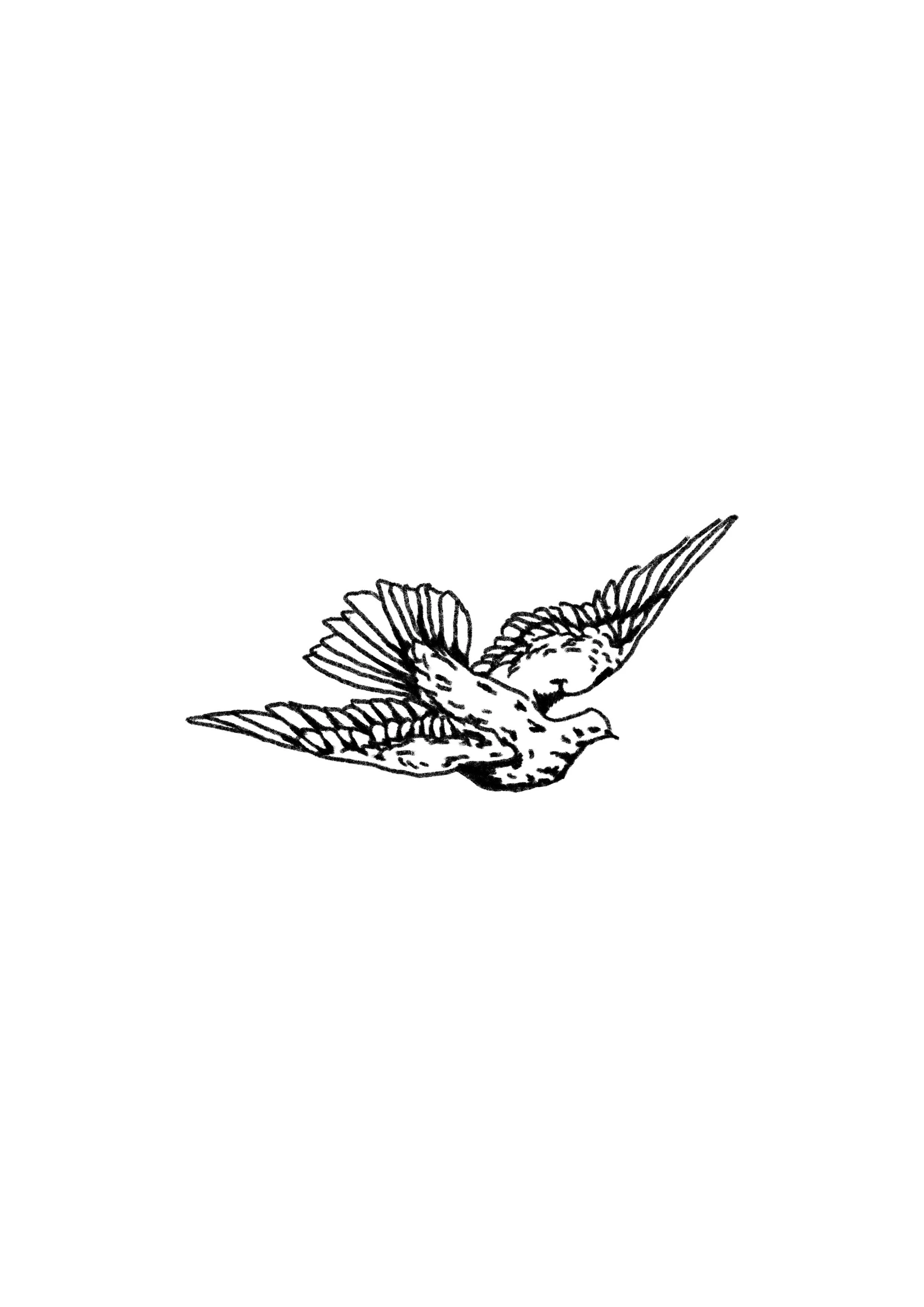 Untitled_Artwork 125.jpg