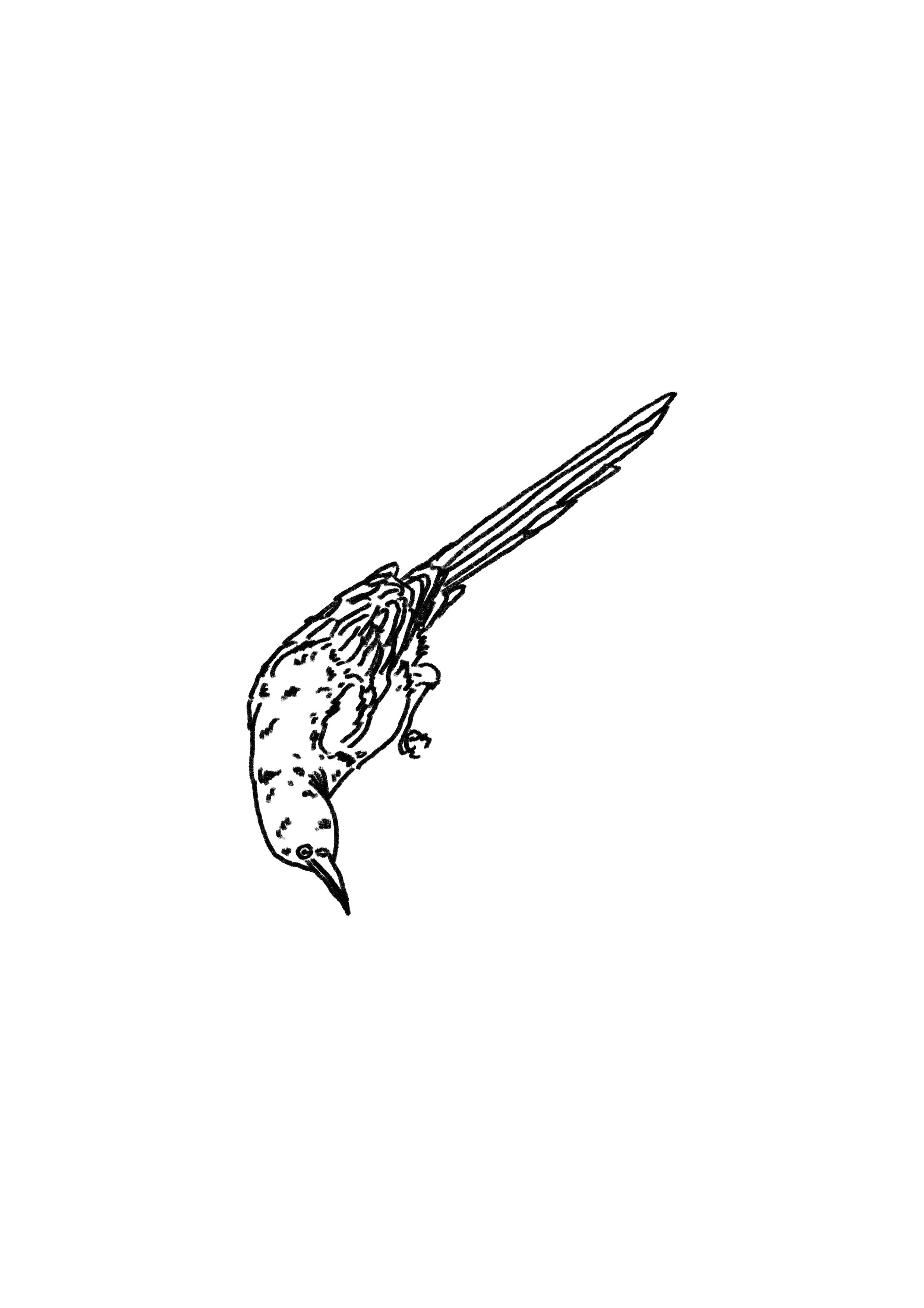 Untitled_Artwork 140.jpg