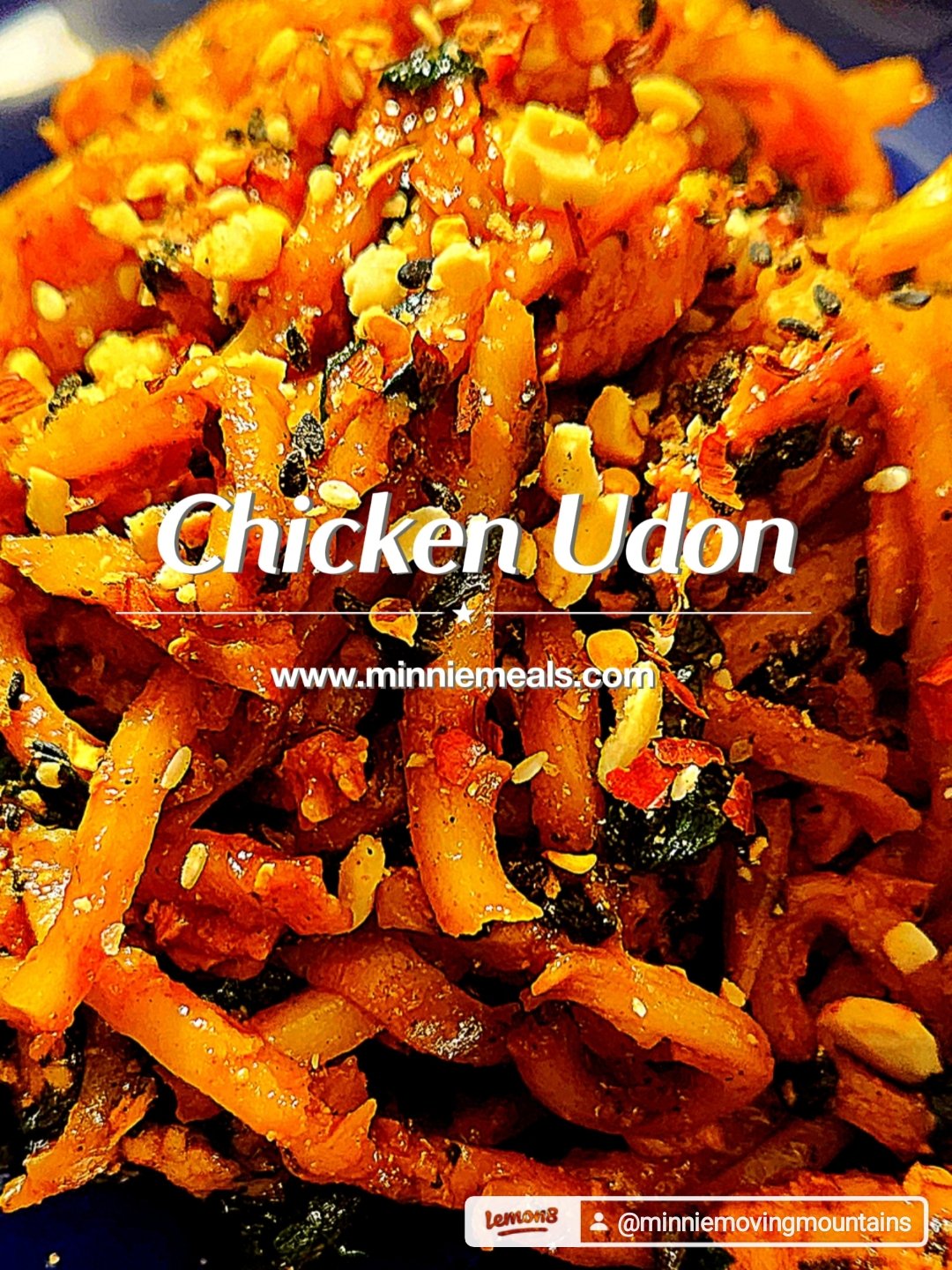 Chicken Udon Noodles
