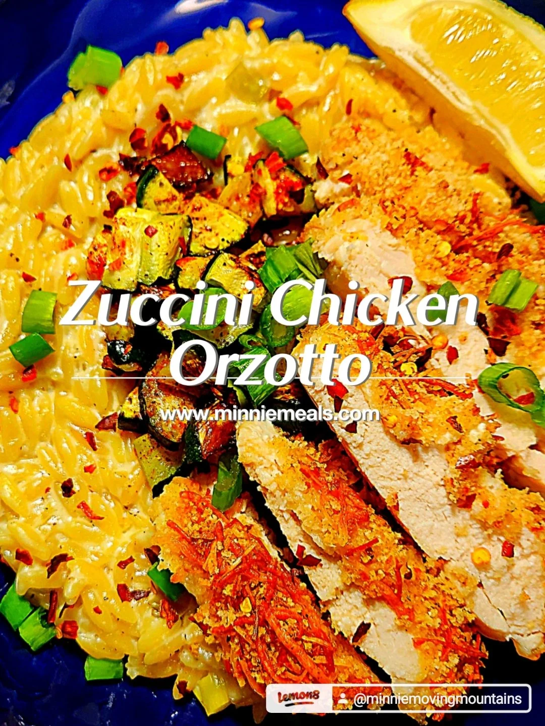 Zucchini Chicken Orzotto 