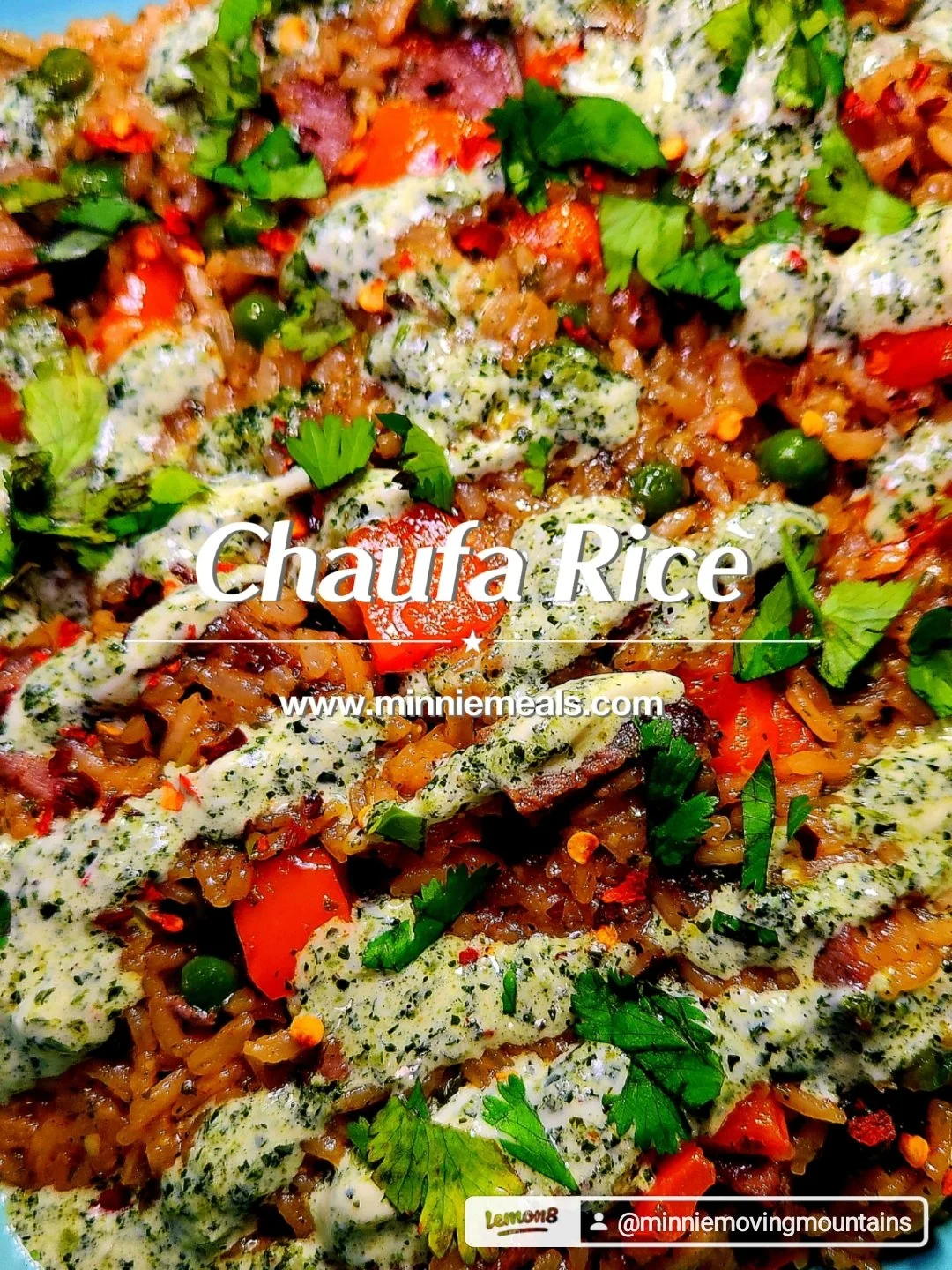 Chaufa Rice And Steak