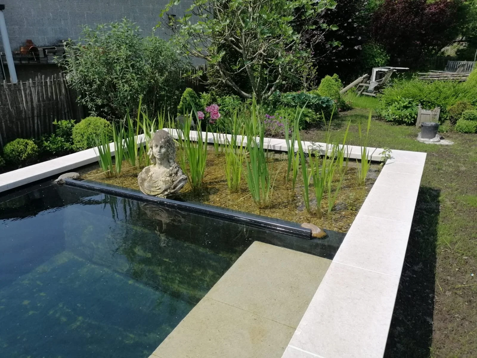 Project 8 - Ref 1: Zwemvijver