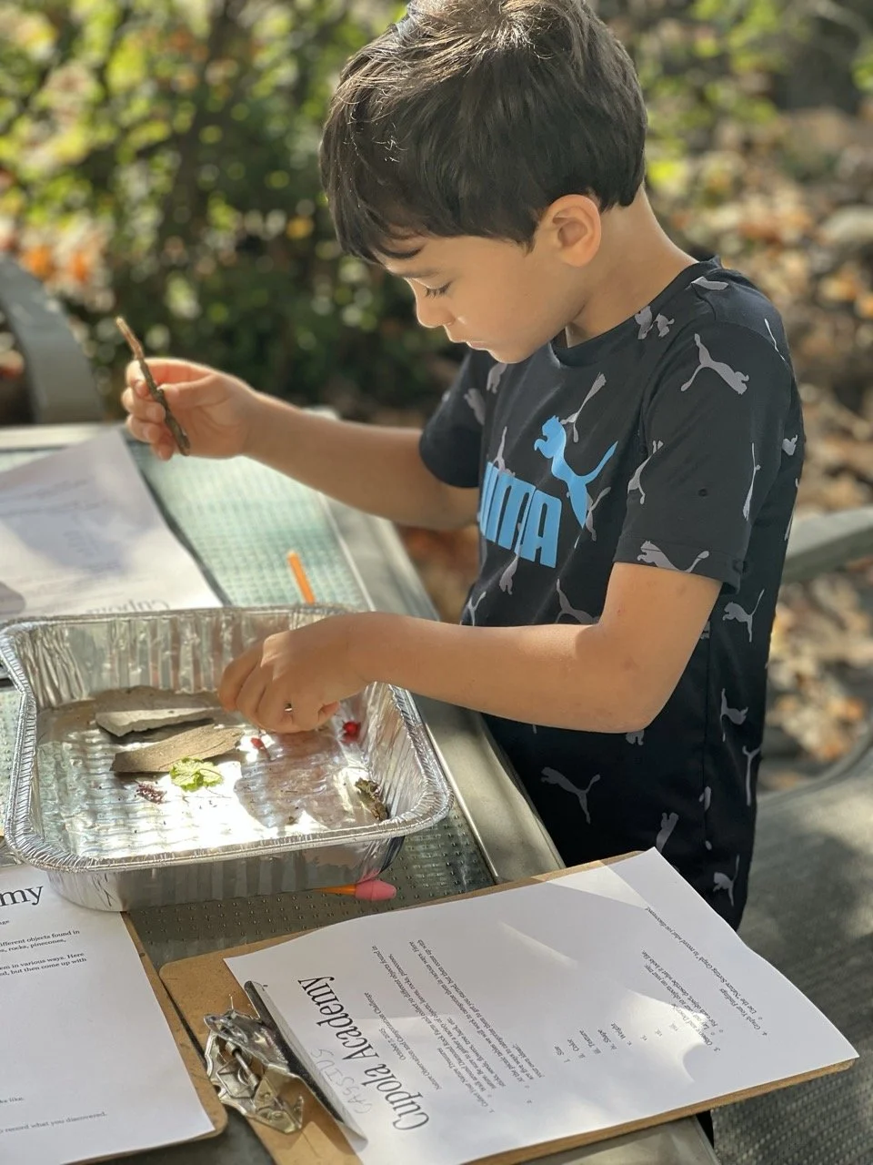 JPEG image Large 2.jpeg