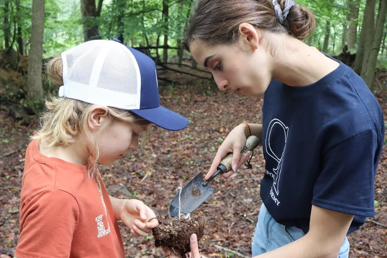 JPEG image Large 2.jpeg