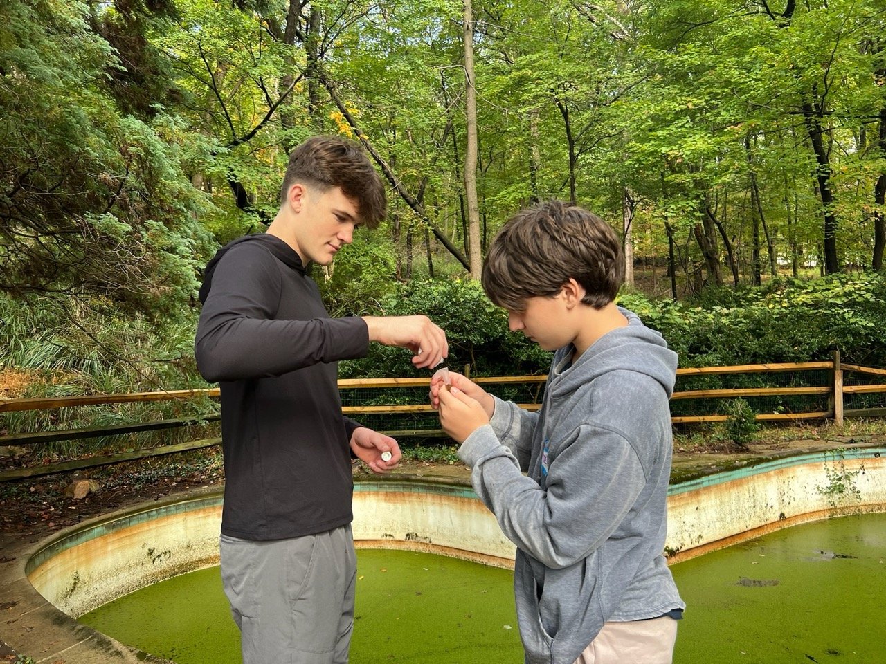 735704CD-256A-443B-A656-D9637E9793BC Large.jpeg