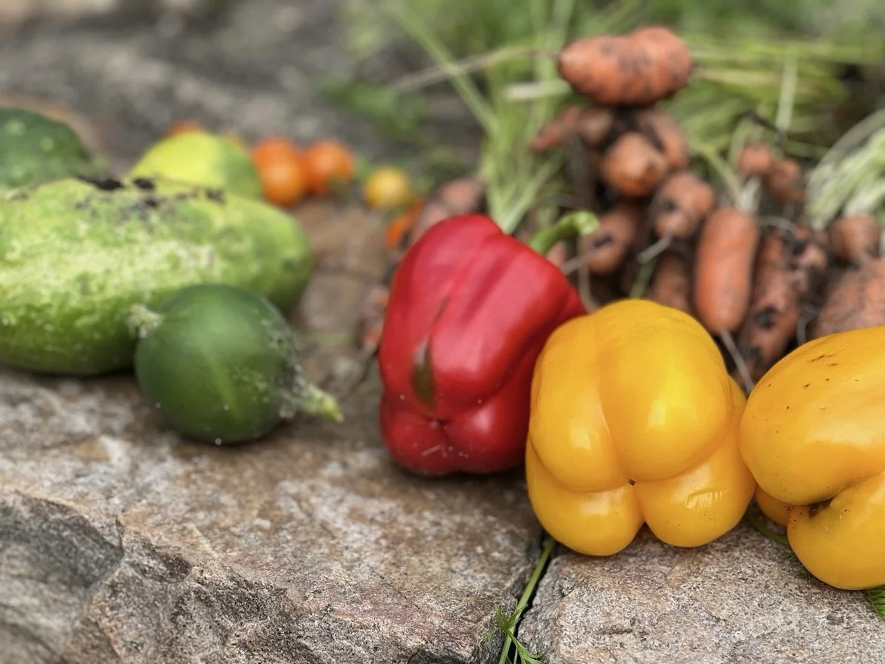 A9C32EDA-B308-4D41-A342-7C1723233A41 Large.jpeg