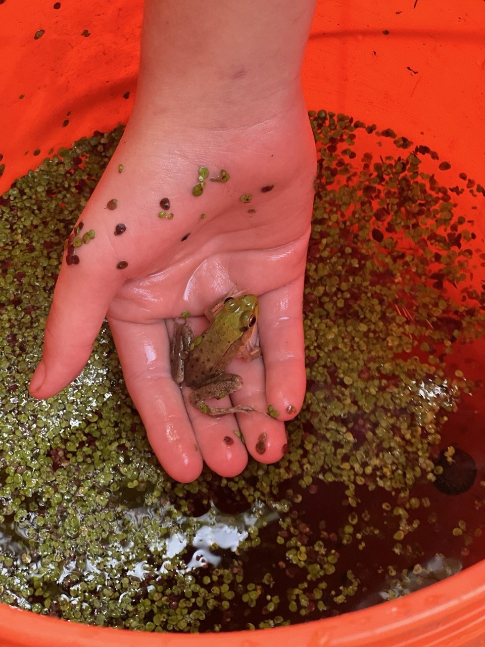 E029D8AE-A9D0-468D-827B-2AC6BE0E0762 Large.jpeg