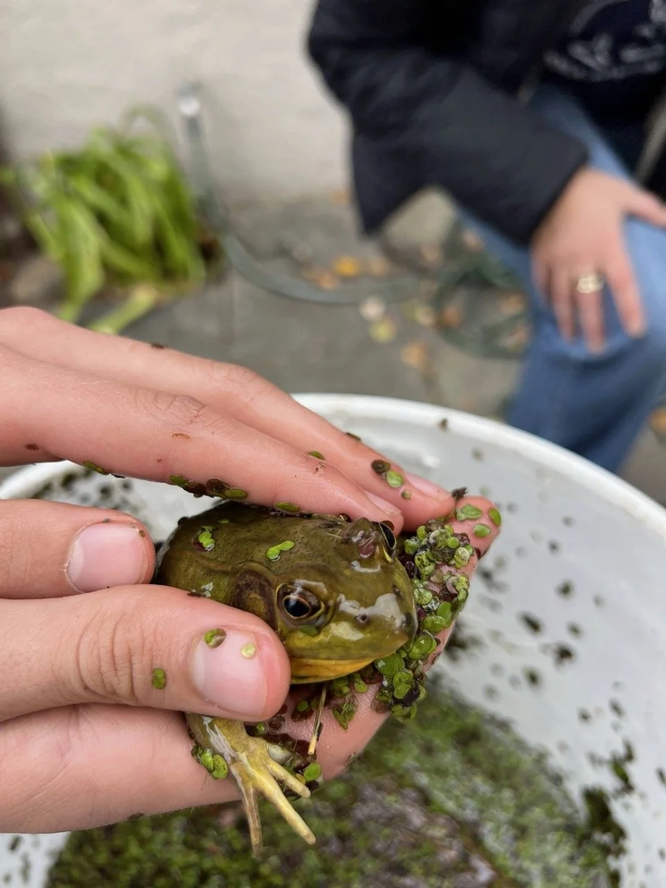 30CA4B88-09B7-4D5F-8C1B-03D4E18685DE Large.jpeg