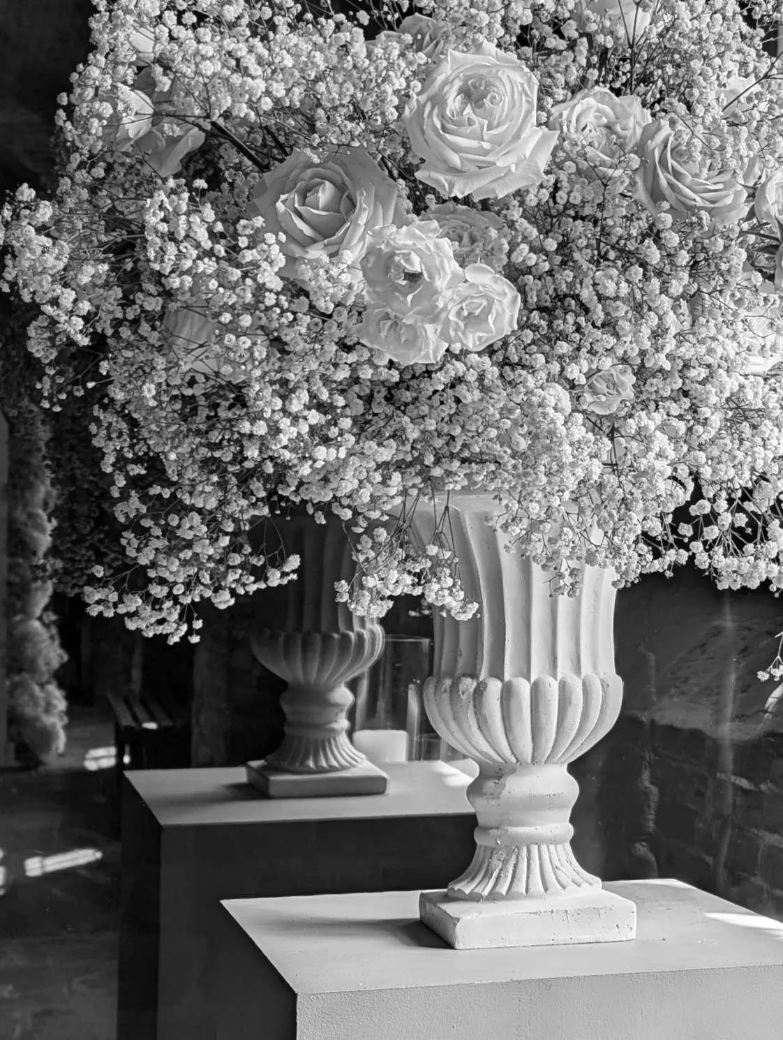 Wedding - 023_inPixio.jpg