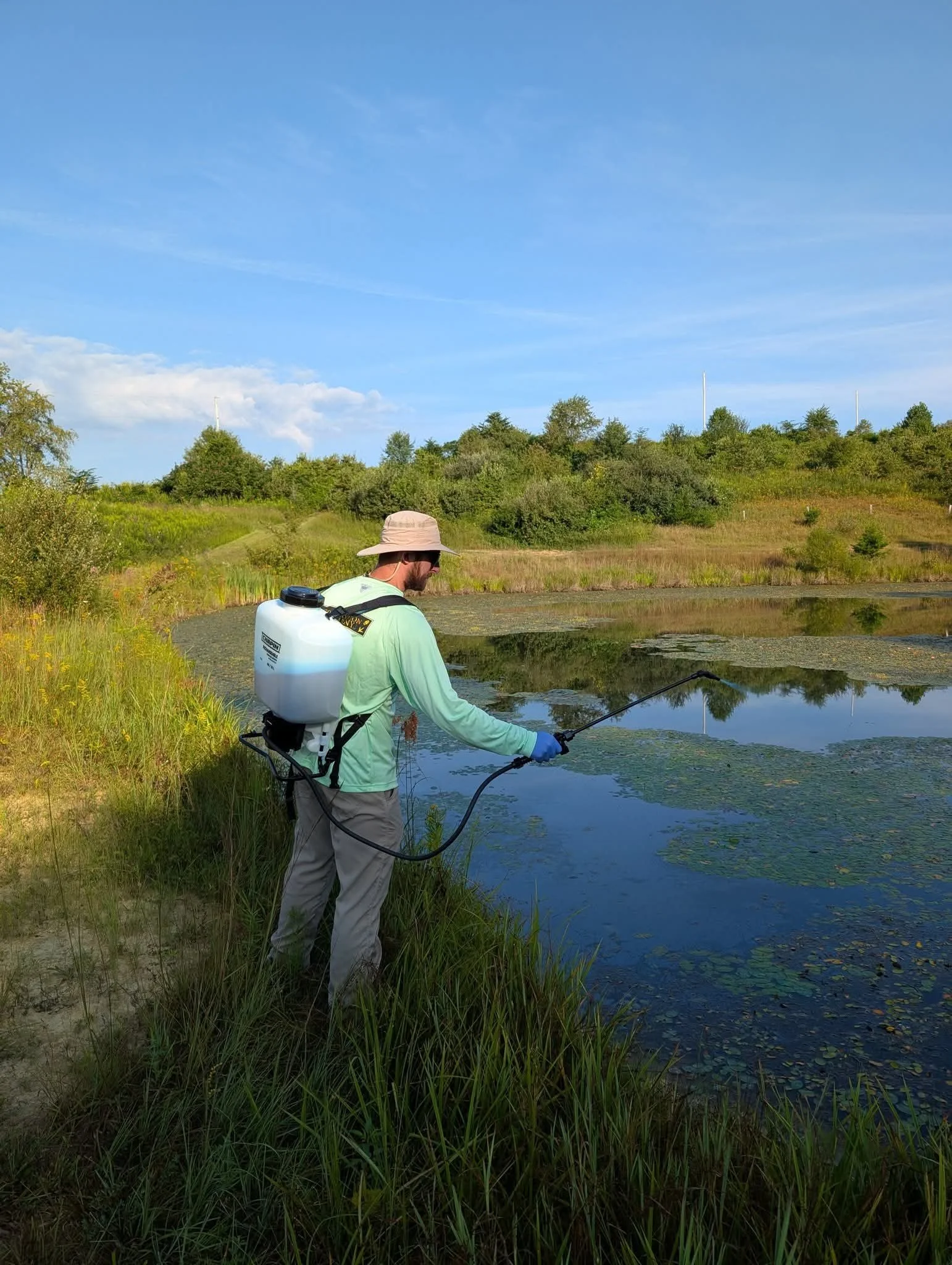 Applying herbicide to a pond to kill water shield 