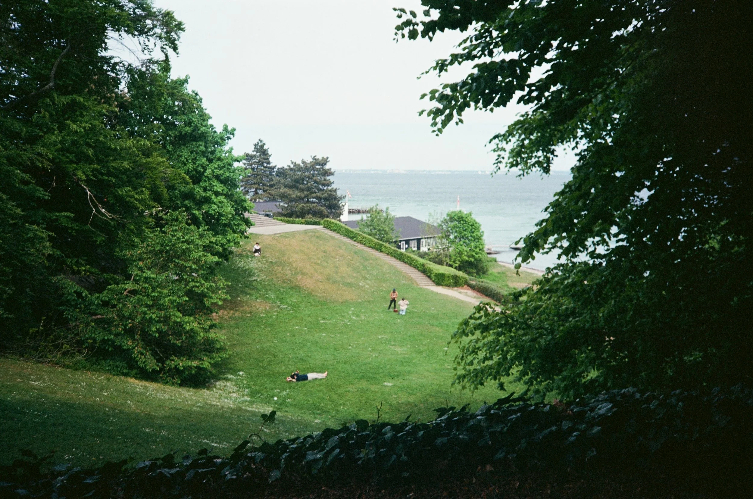 Louisiana museum.jpg