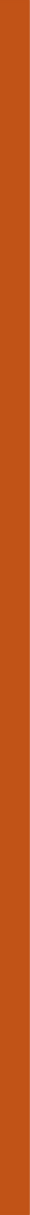 Orange vertical line on a website about Commercial a construction company run by women.