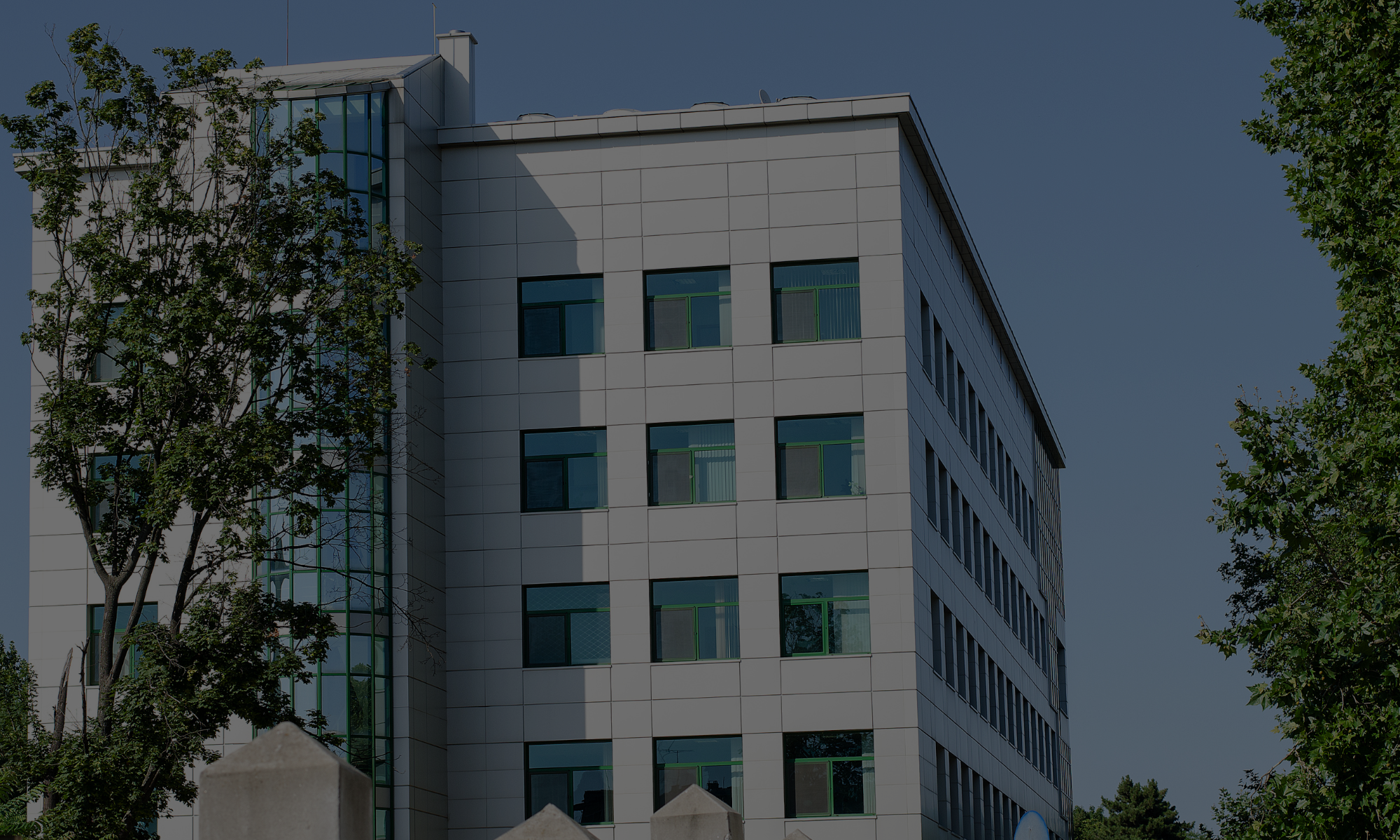 Tenant rep services in construction showcases a modern, multi-story office building with large windows, surrounded by trees under a clear sky.
