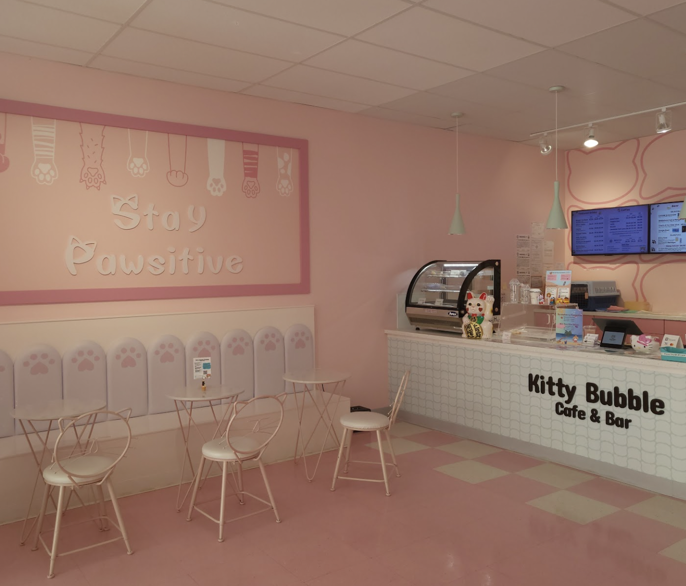 A pastel pink cat-themed cafe interior with "Stay Pawsitive" on the wall and "Kitty Bubble Cafe &amp; Bar" by the counter all created by a Columbus OH commercial contracting team.