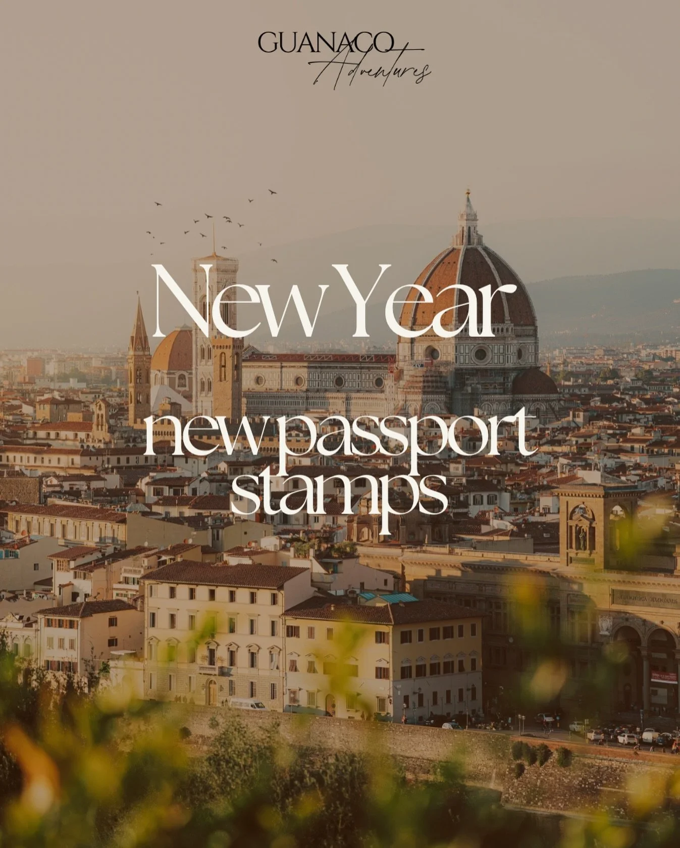 Hello 2026, and welcome to Planuary, the month where January dreams turn into booked vacays!

Half term plans are being finalized, spring breaks are getting booked, and summer 2026 trips are starting to come through. If travel is part of your goals t