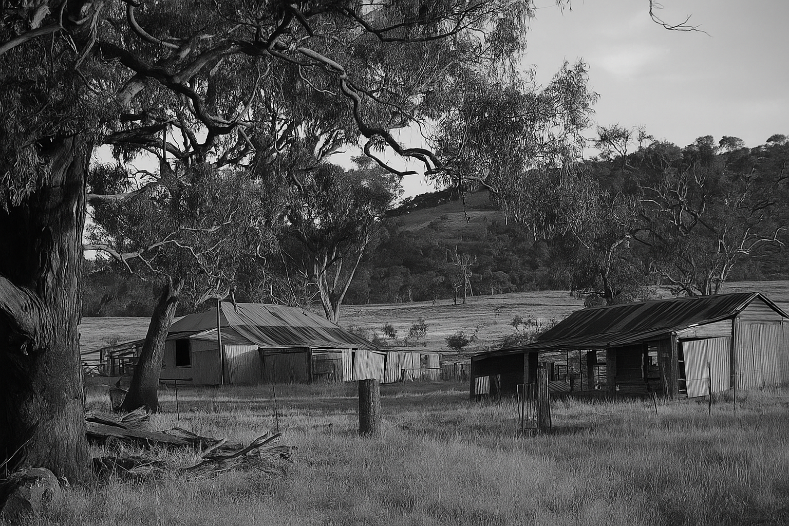 Blog Post #4 - A Murder at Kings Plains