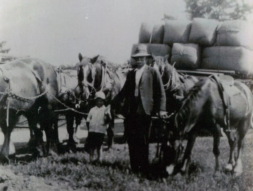 Blog Post #6 - Horses Still in the Blood