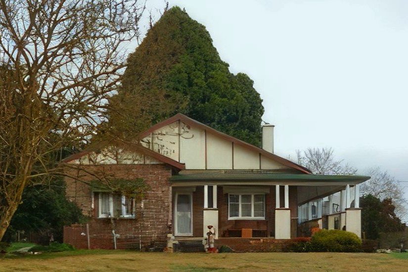 Pleasant View ©️2024 Stonestreet Family Archive