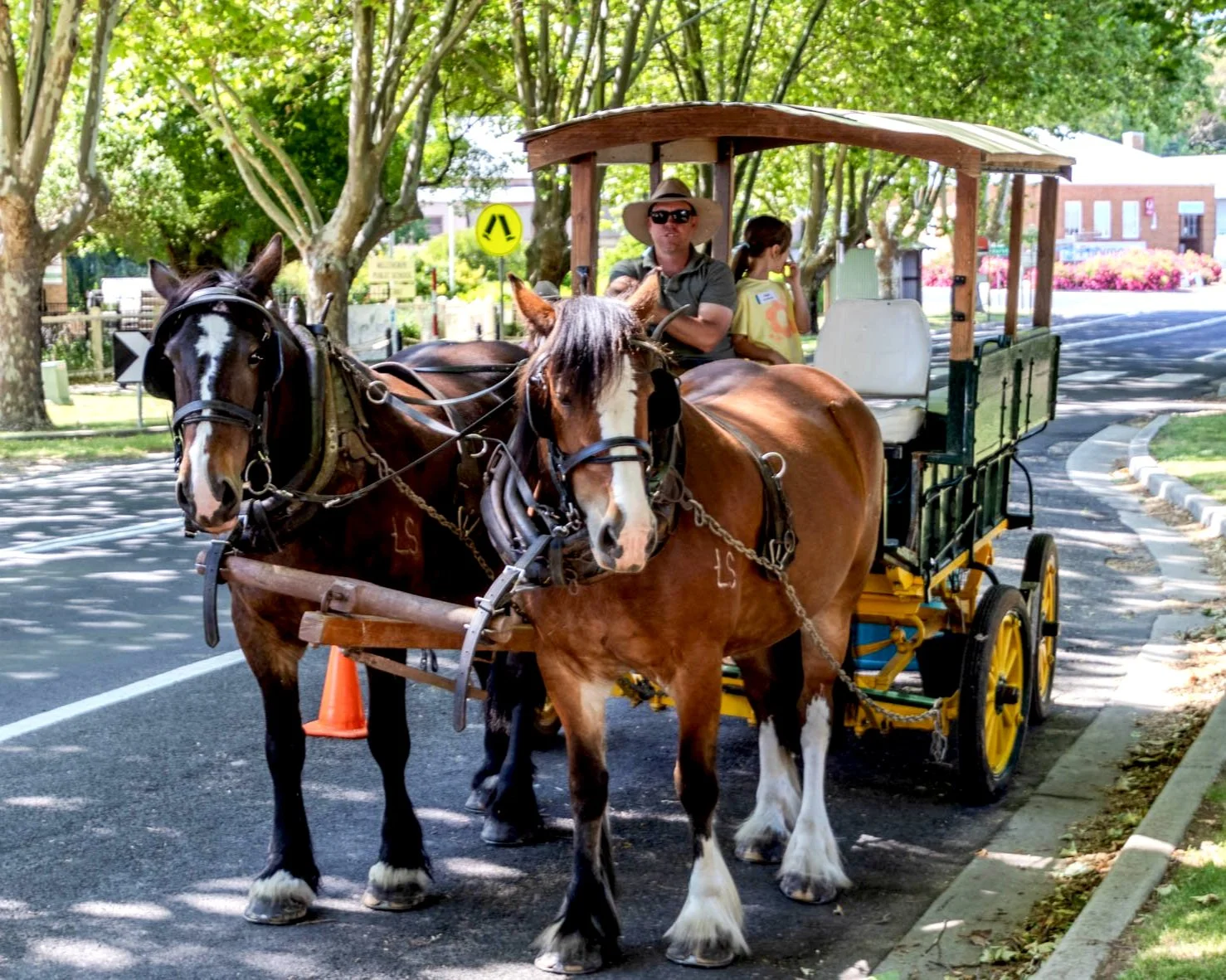 Jason Gavenlock ©️2024 Stonestreet Family Archive