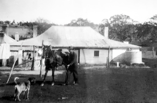 Hillside ©️2024 Stonestreet Family Archive