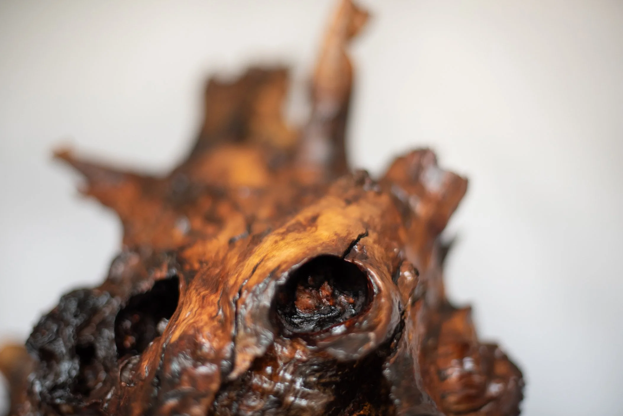 Close-up of a gnarled, dark brown, burnt-looking piece of wood with rough texture and hollow center, against a blurred light background.