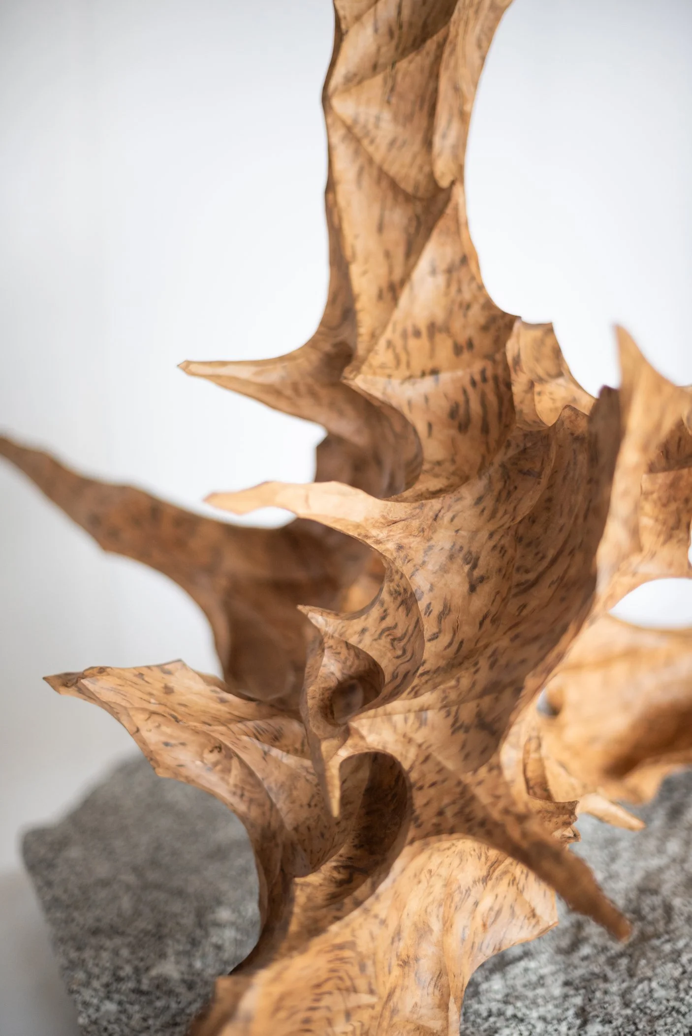 Close-up of a beige, textured, and irregularly shaped carved wooden sculpture on a gray base.