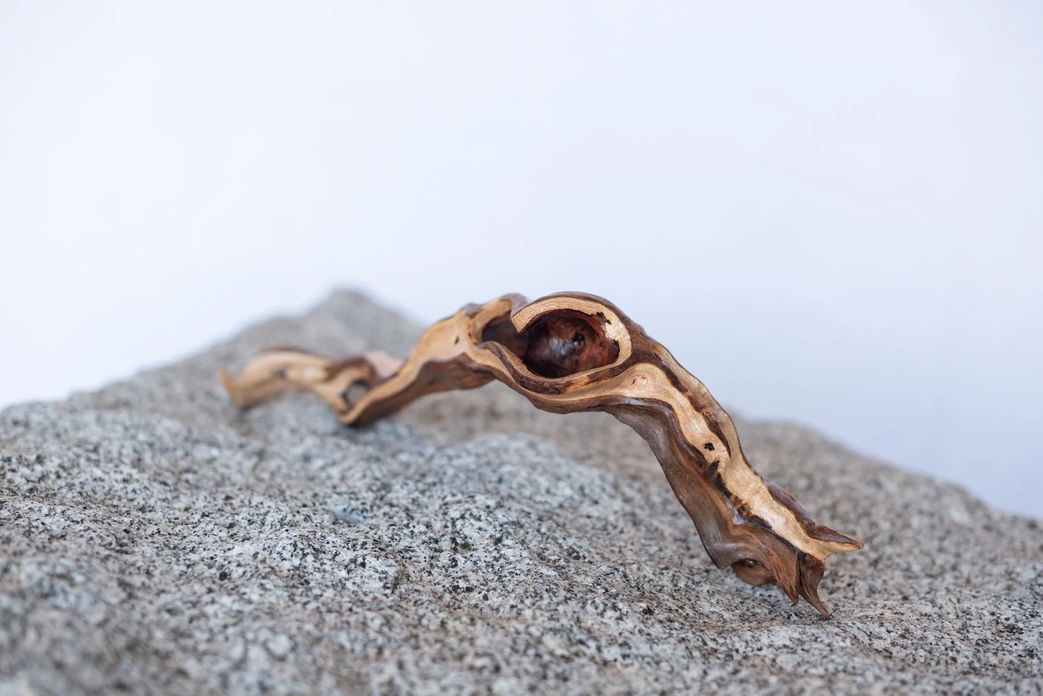 A piece of twisted, weathered driftwood resting on a large, textured gray rock.