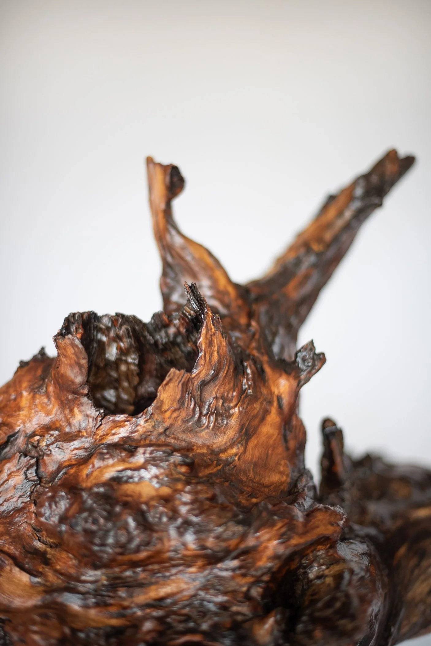 Close-up of a twisted, gnarled, weathered piece of wood with a rough, textured surface and a dark brown color.