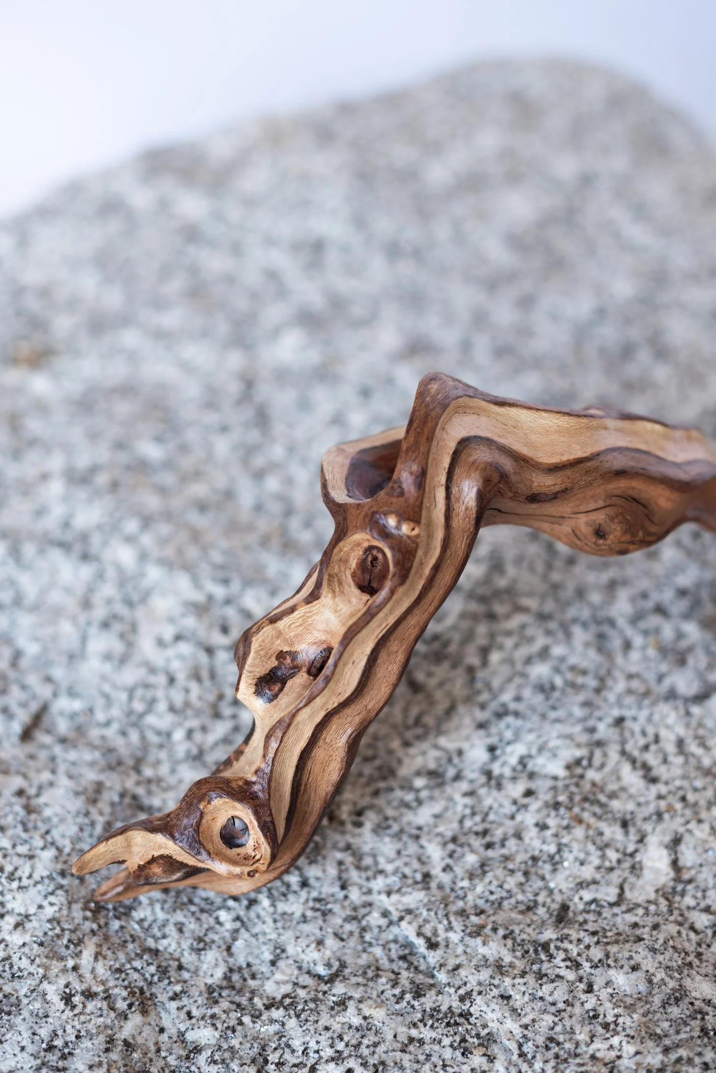 A piece of twisted, polished wood with natural knots and grain patterns resting on a textured gray rock surface.