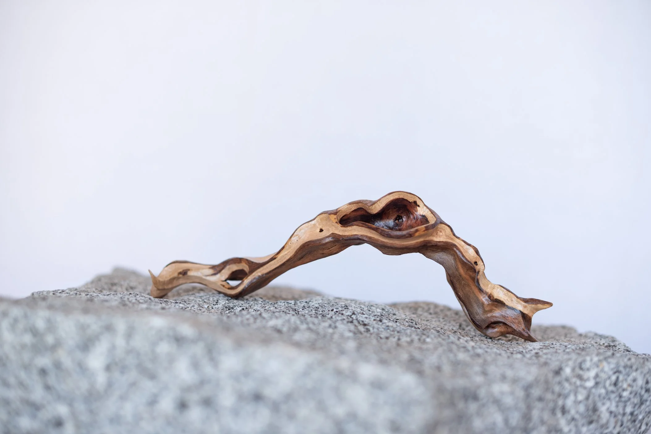 A twisted, weathered piece of driftwood resting on a flat rock surface with a plain white background.
