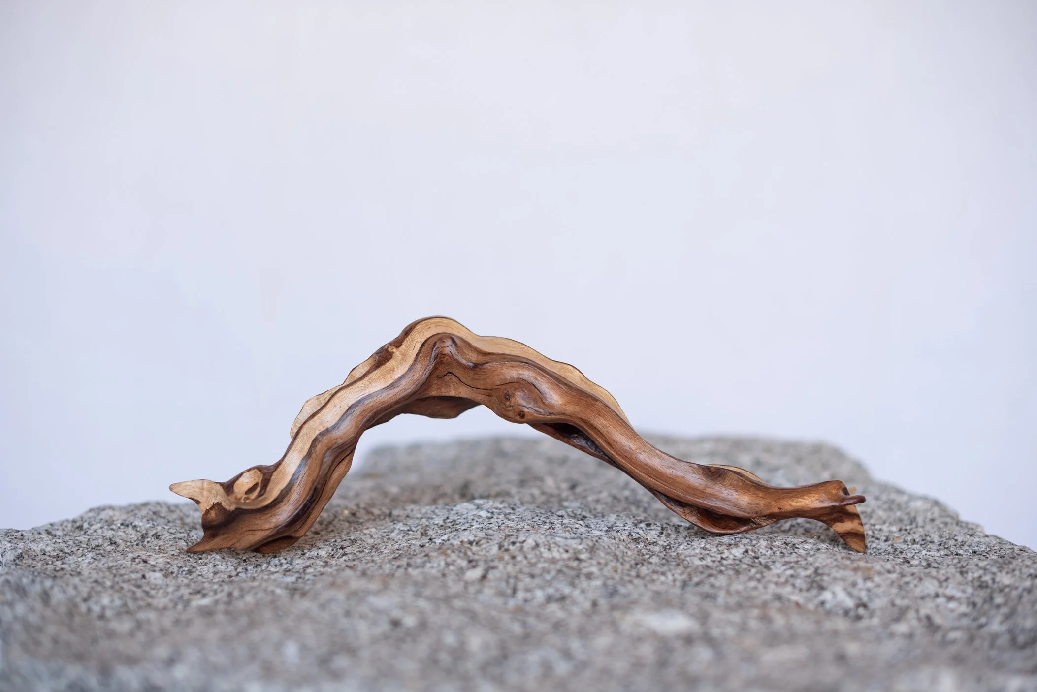 A twisted, brown wooden stick resting on a rough grey stone surface against a plain, light-colored background.