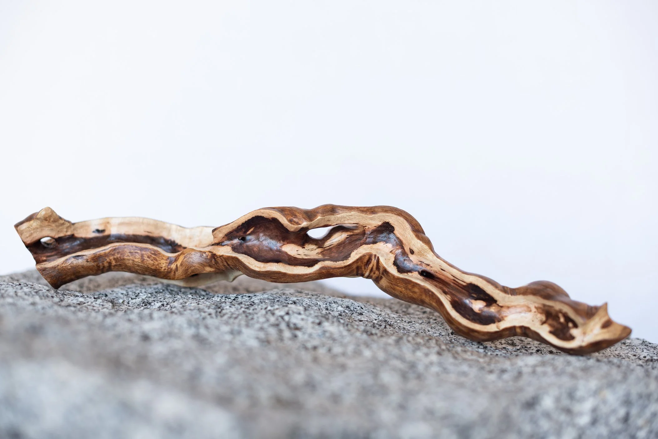 A twisted, weathered piece of driftwood resting on a gray rock surface.