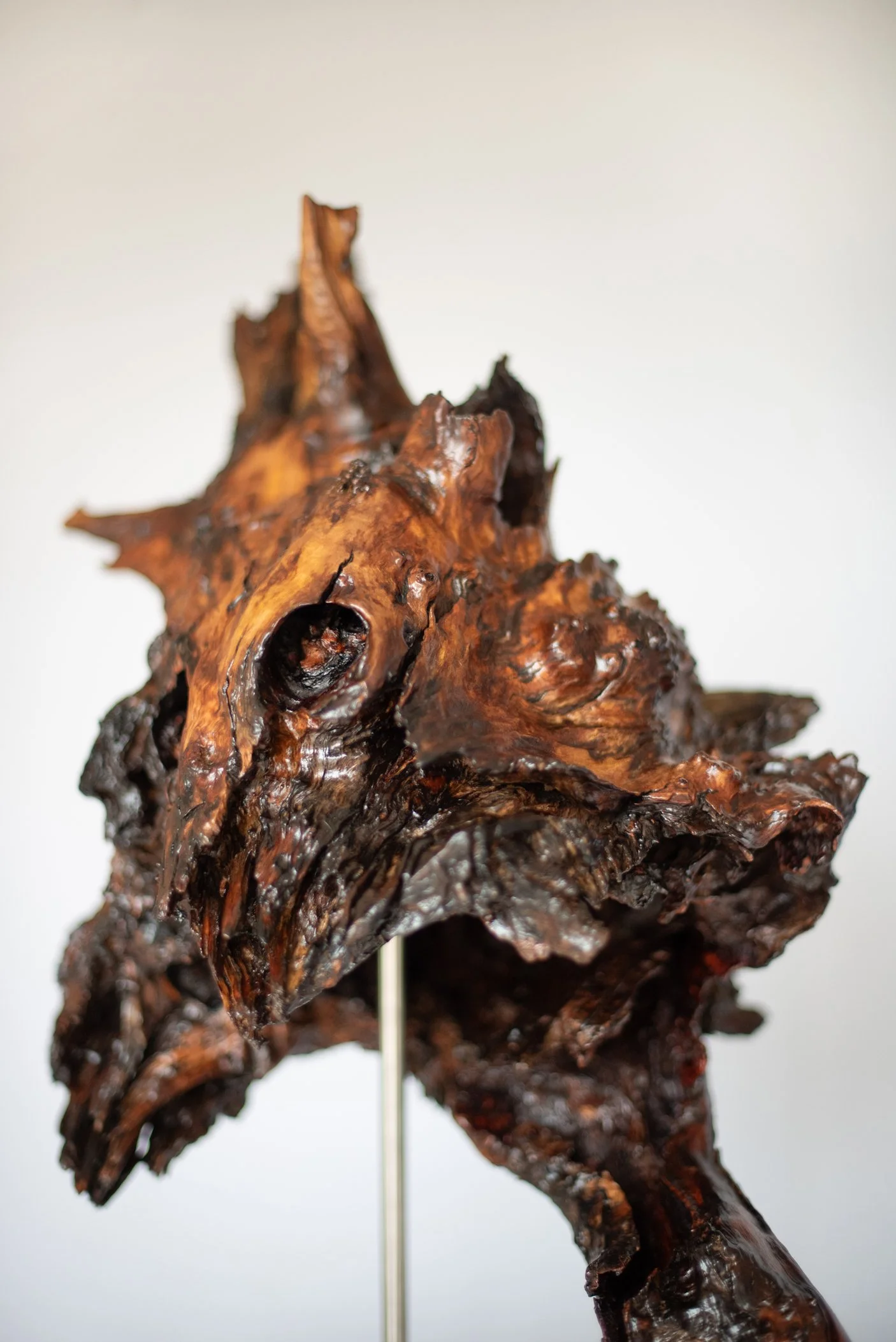 Close-up of a large, textured, dark brown wood sculpture with a light background.
