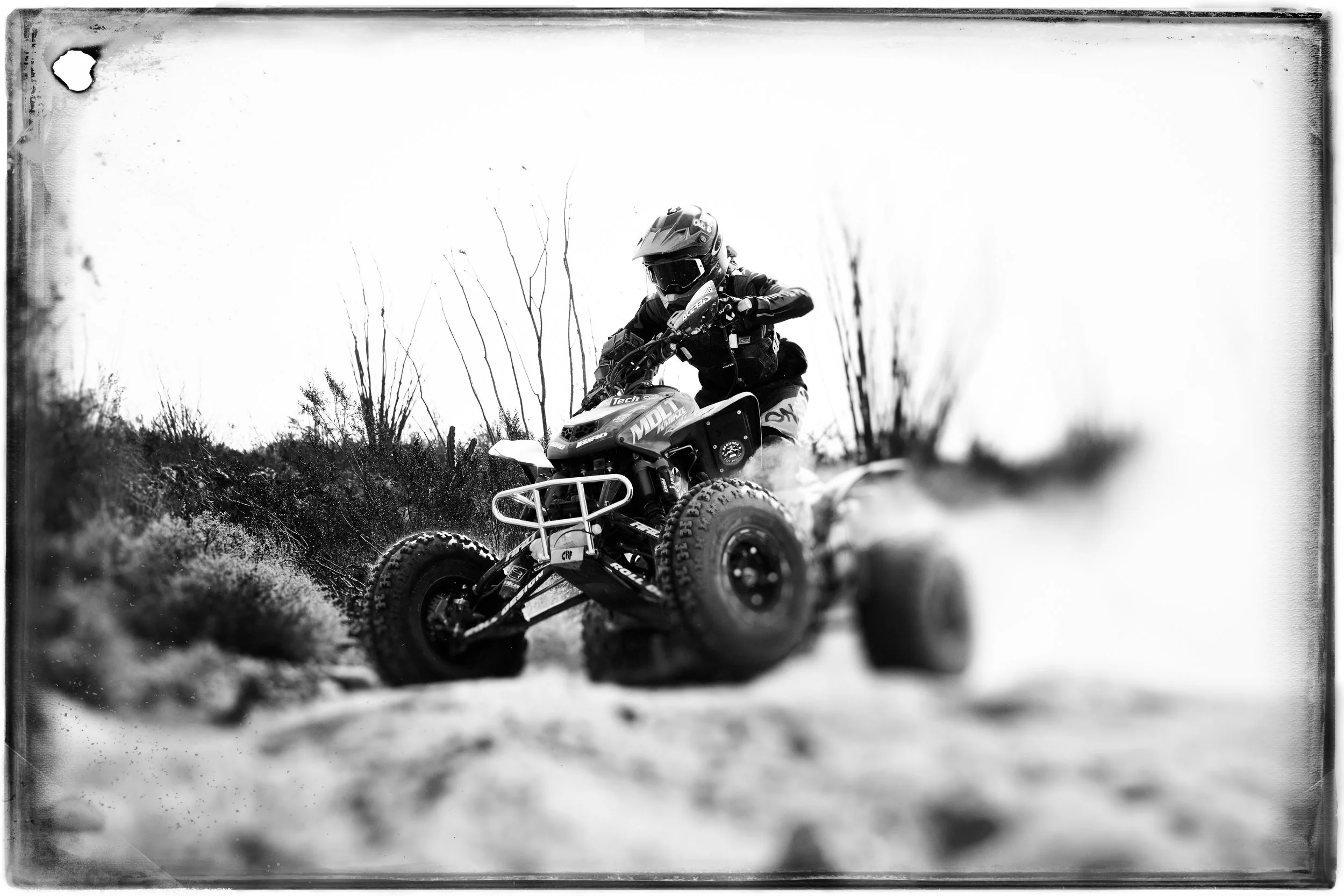 DOMINICK_55_B&W.jpg