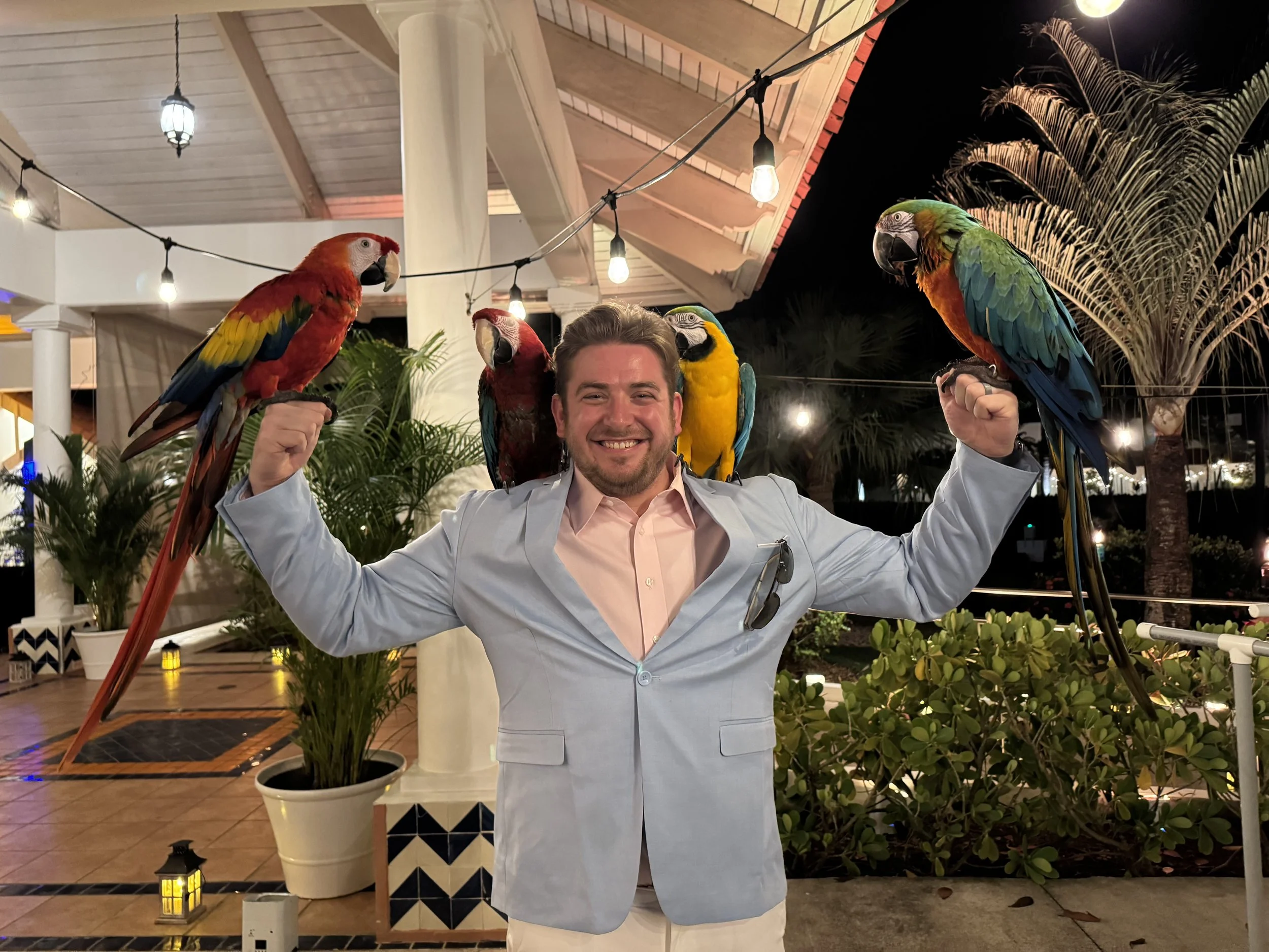 A man in a light gray blazer and pink shirt smiling with colorful parrots perched on his arms in an outdoor setting at night, decorated with string lights and lush plants.
