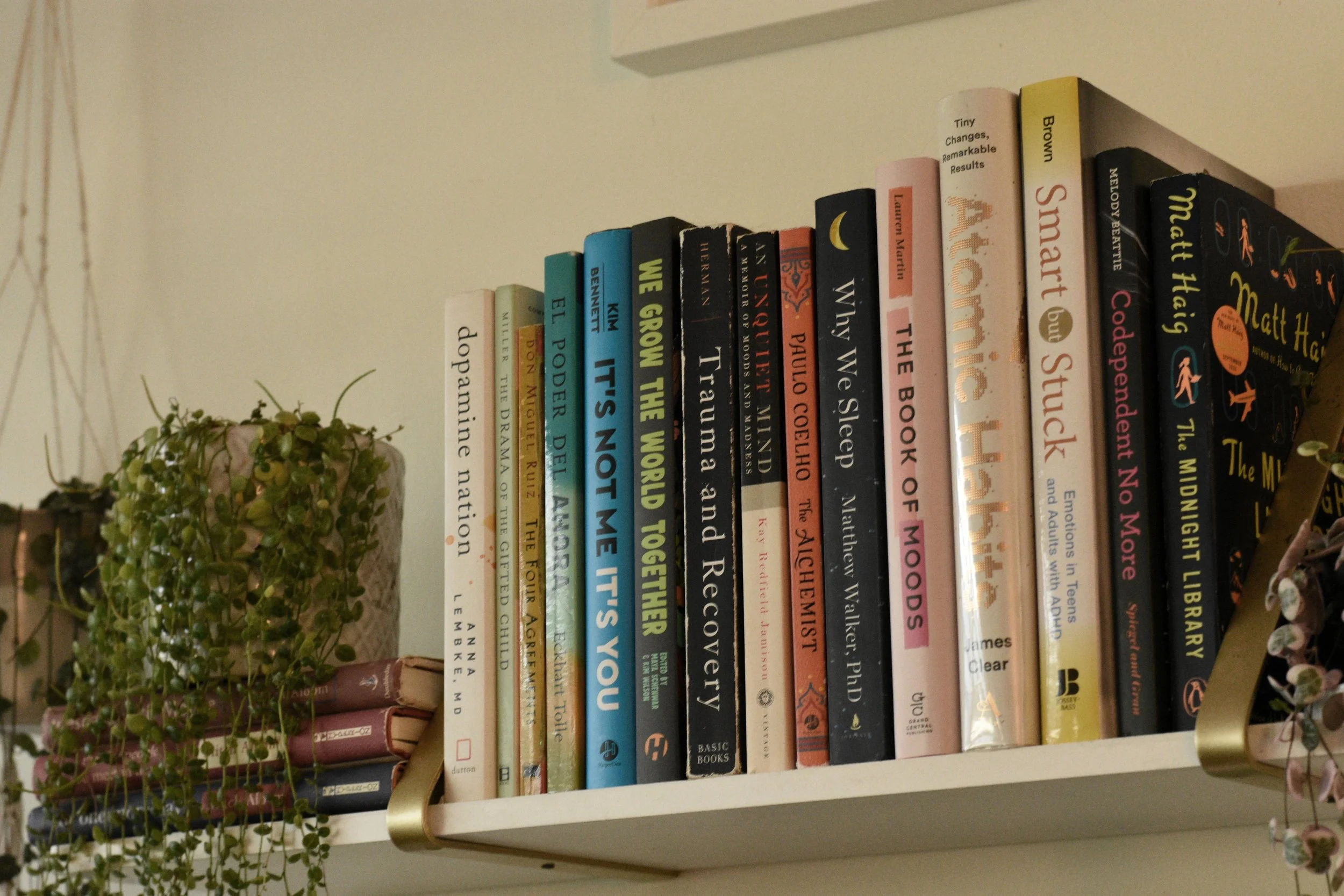 therapy books and mini houseplants on white book shelf