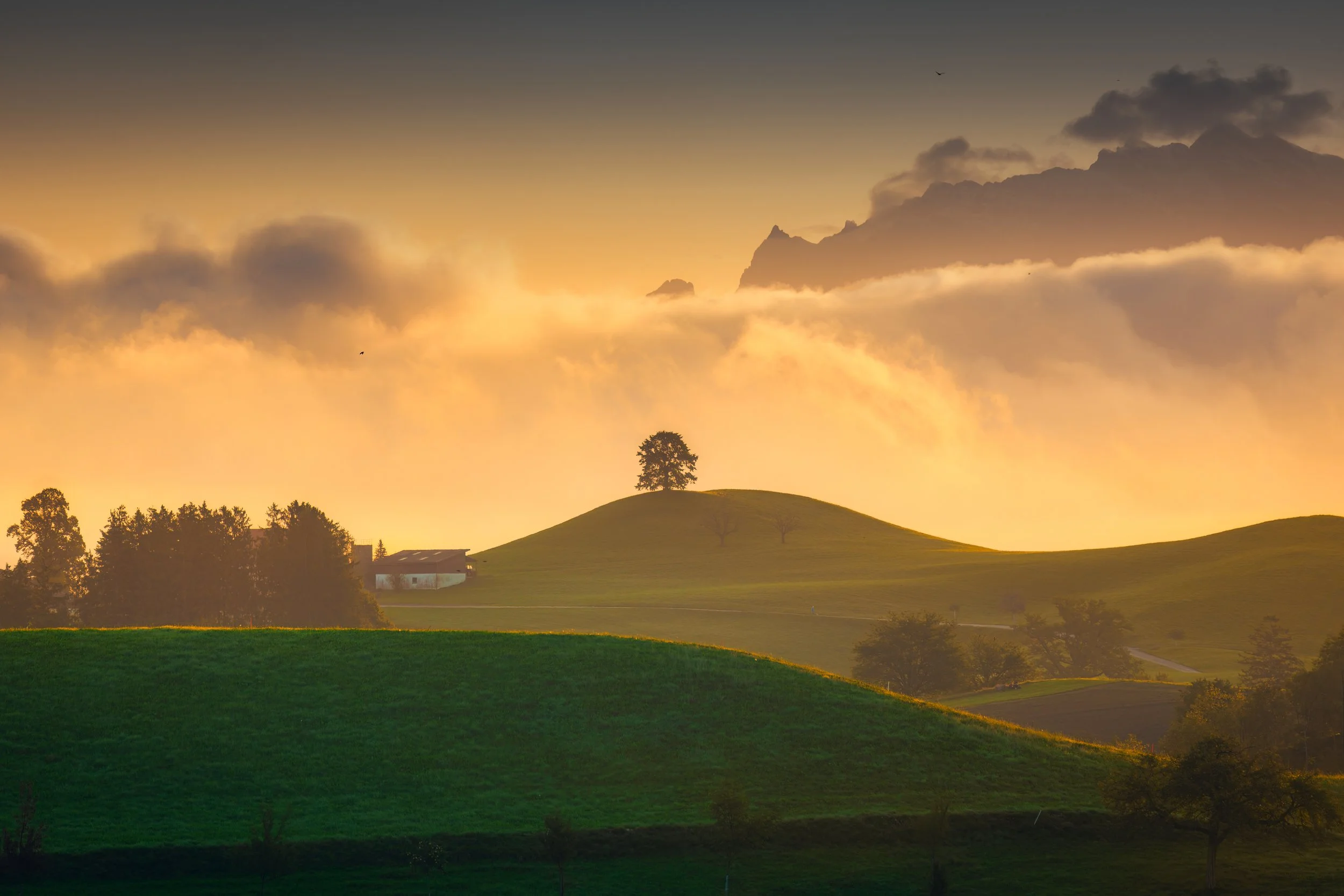 rural-scene-of-peaceful-agricultural-village-with-2025-03-24-14-14-34-utc.jpg
