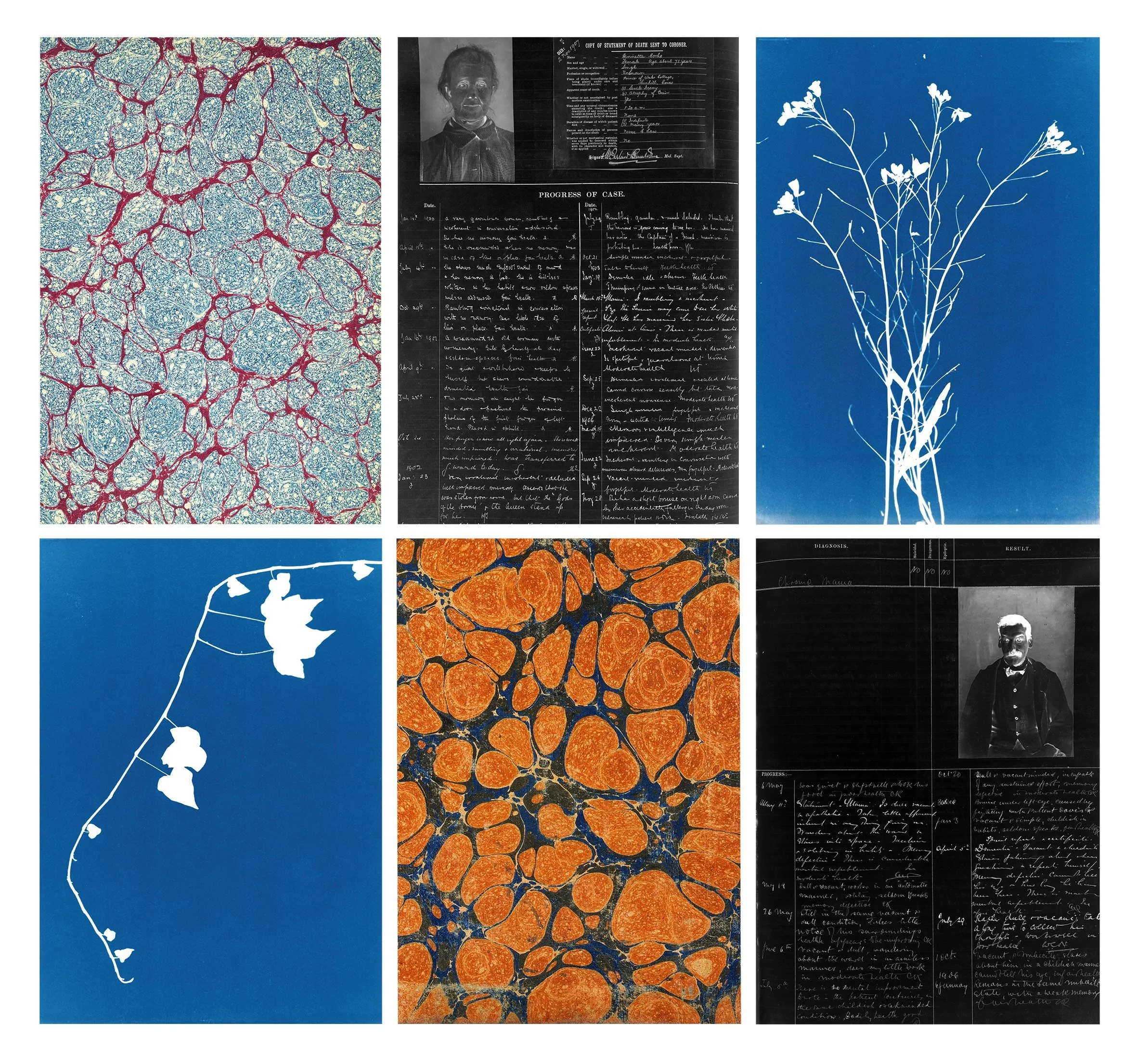 Art and Academia Catalysing- Alana and Eric’s collaboration