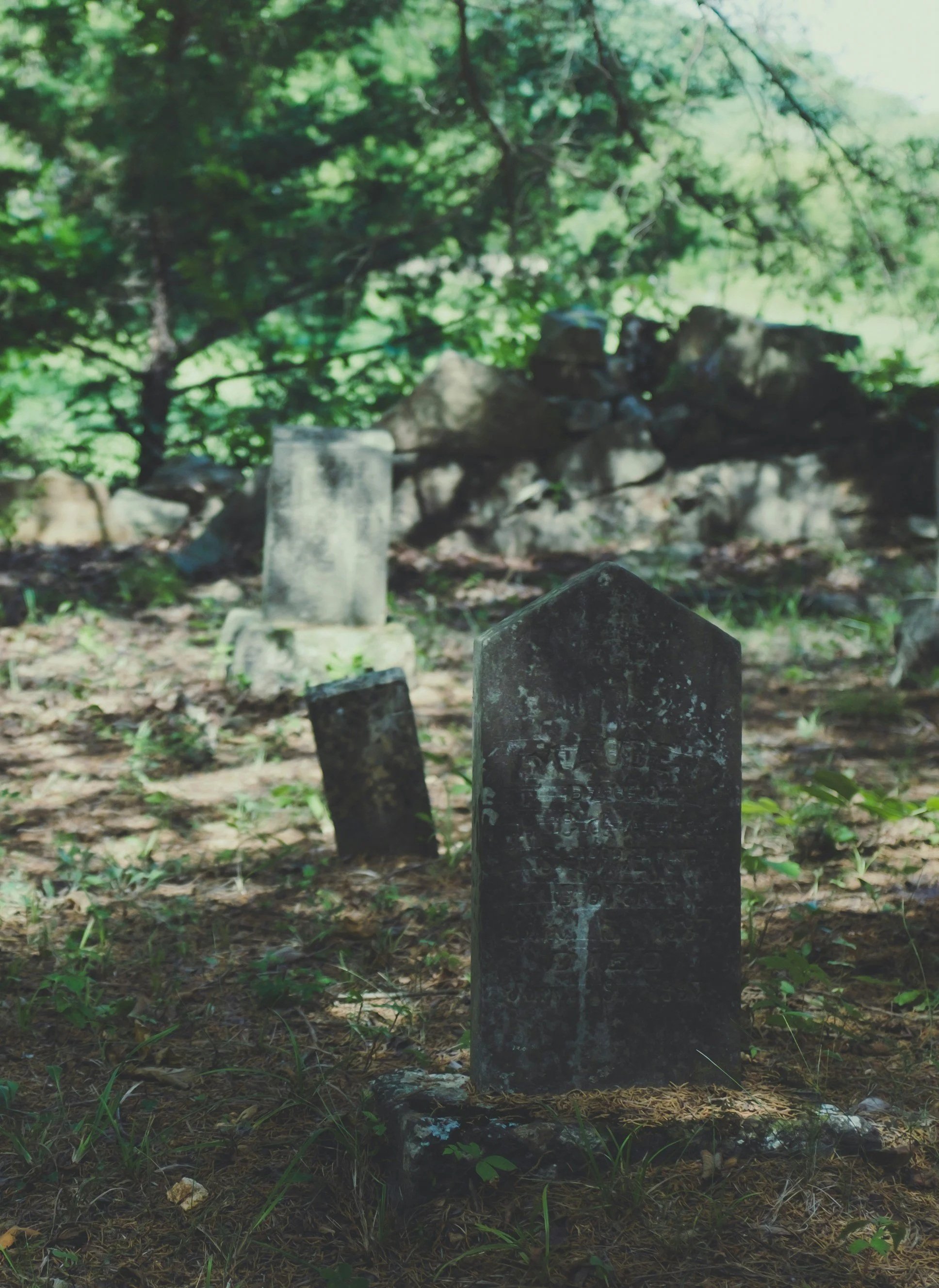 Everyday Heritage &amp; Afterlives of Asylum Burial Grounds Workshop, 27 October 