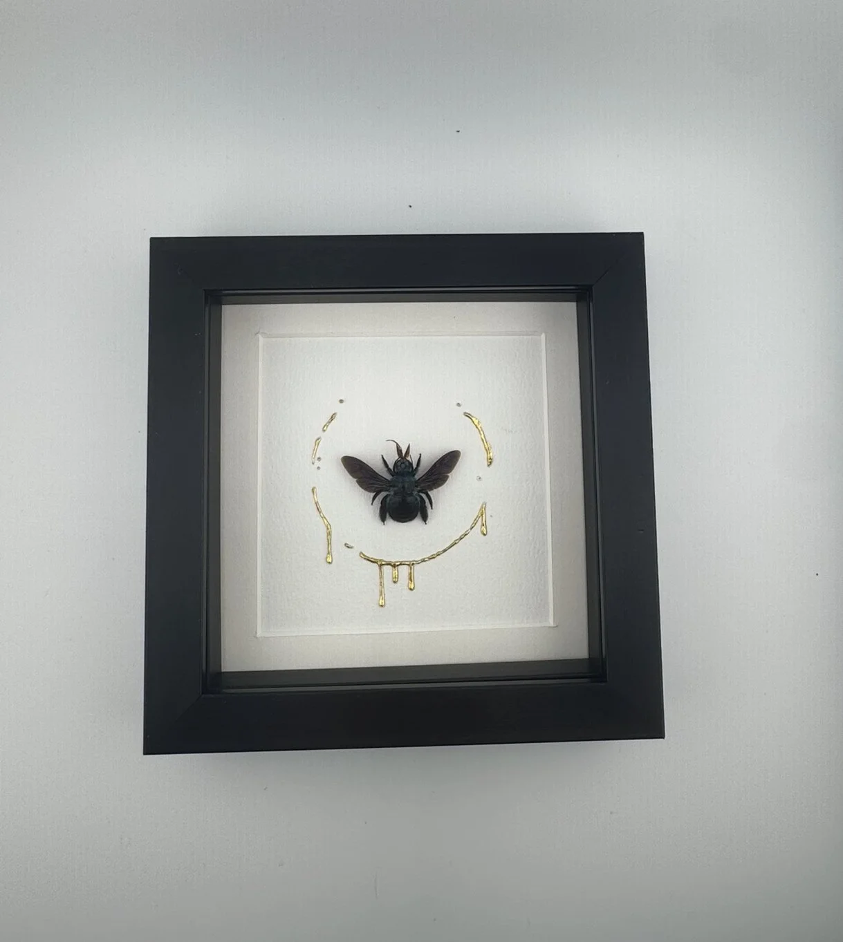 Blue Carpenter Bee Frame