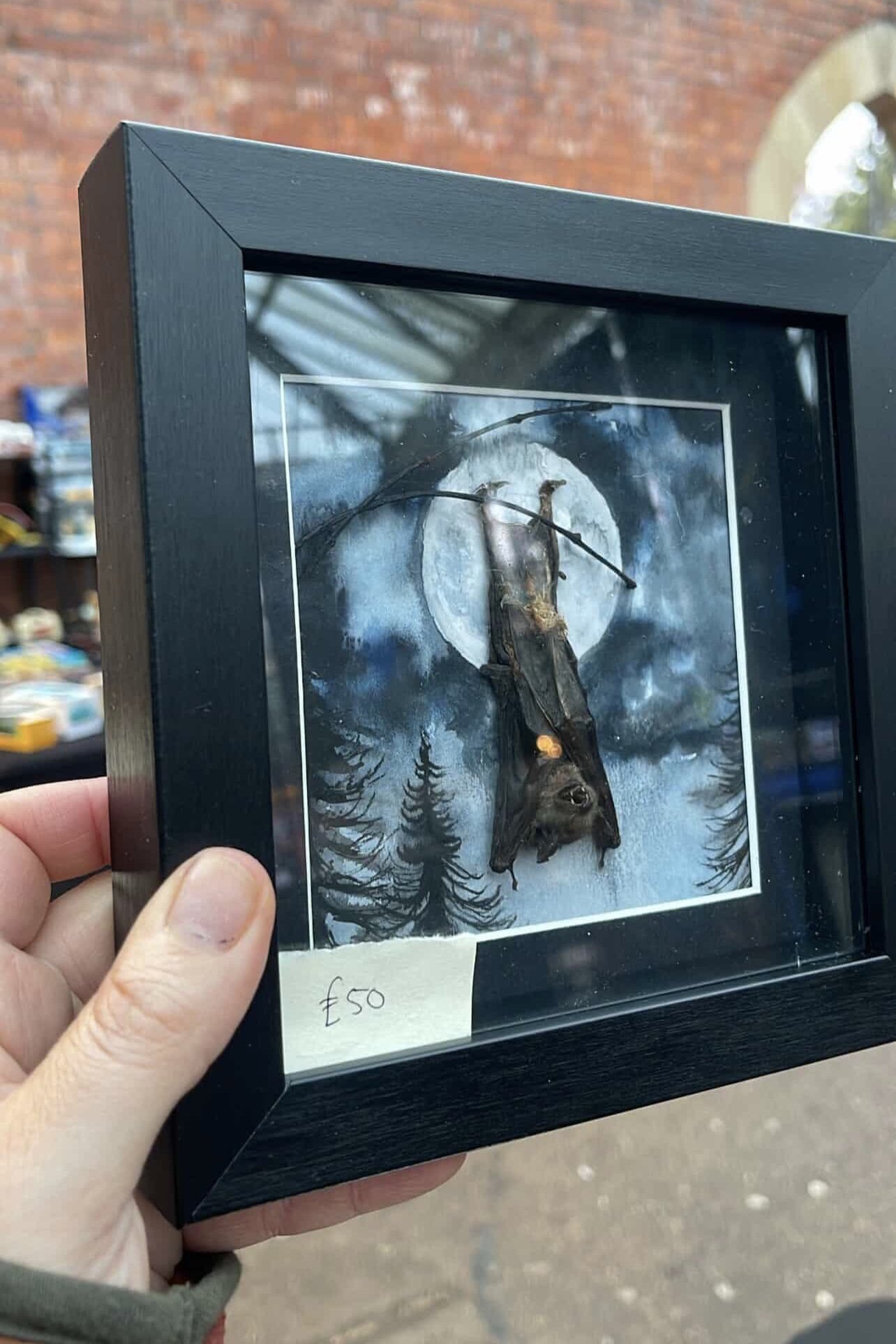 Small Bat Frame