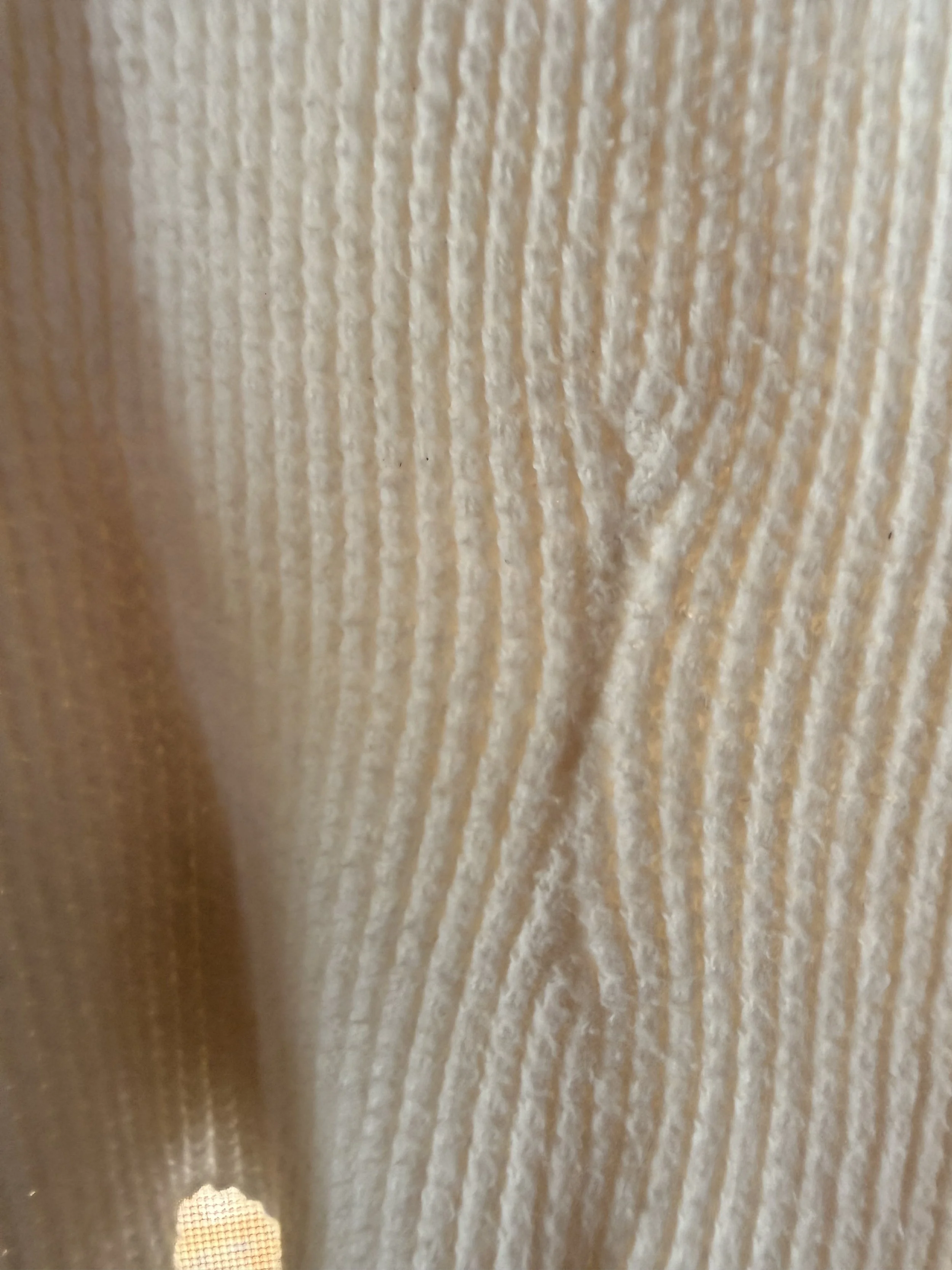 IMG_4530.jpeg